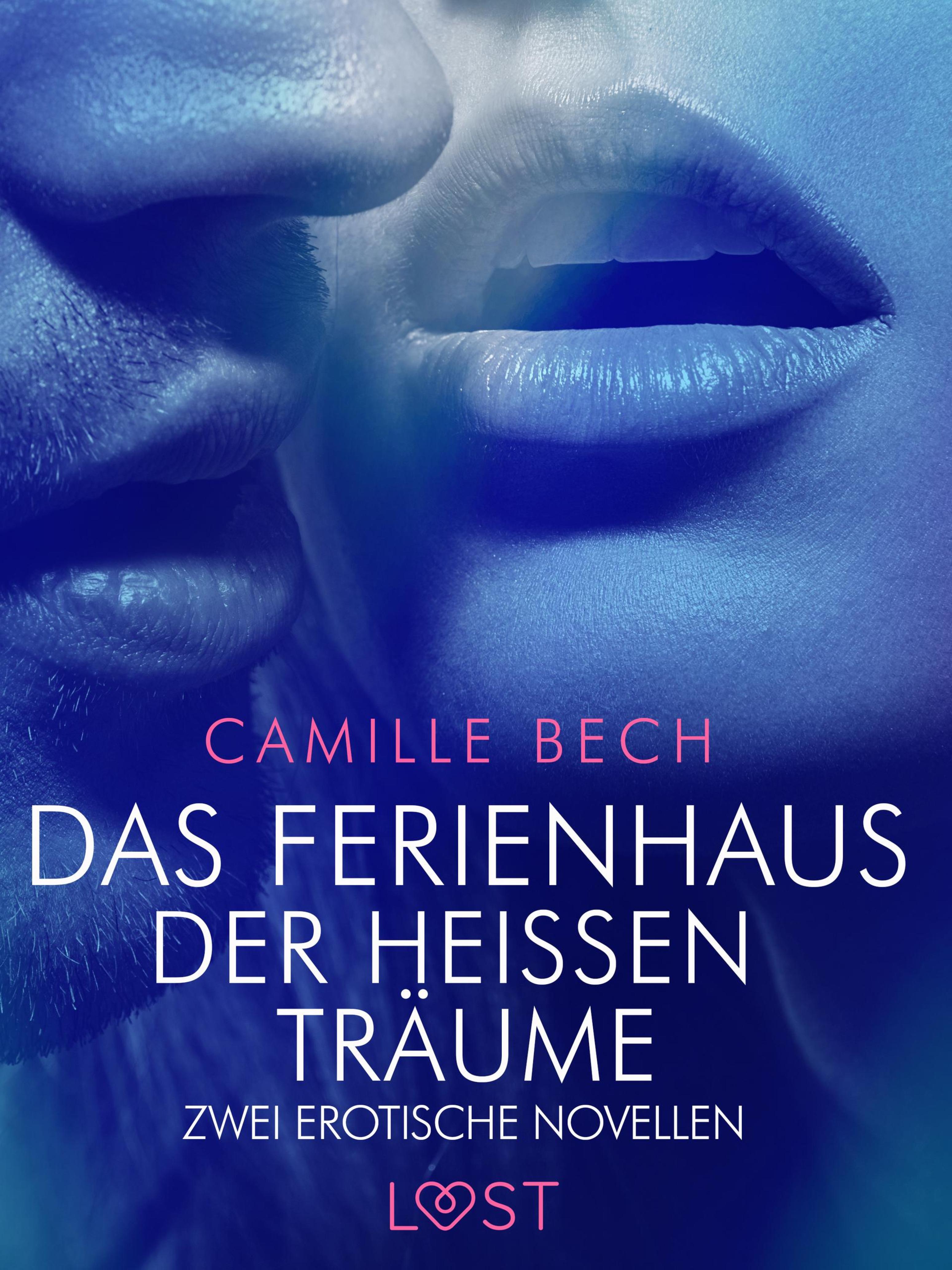 Обложка книги «Das Ferienhaus der heißen Träume – Zwei erotische Novellen»