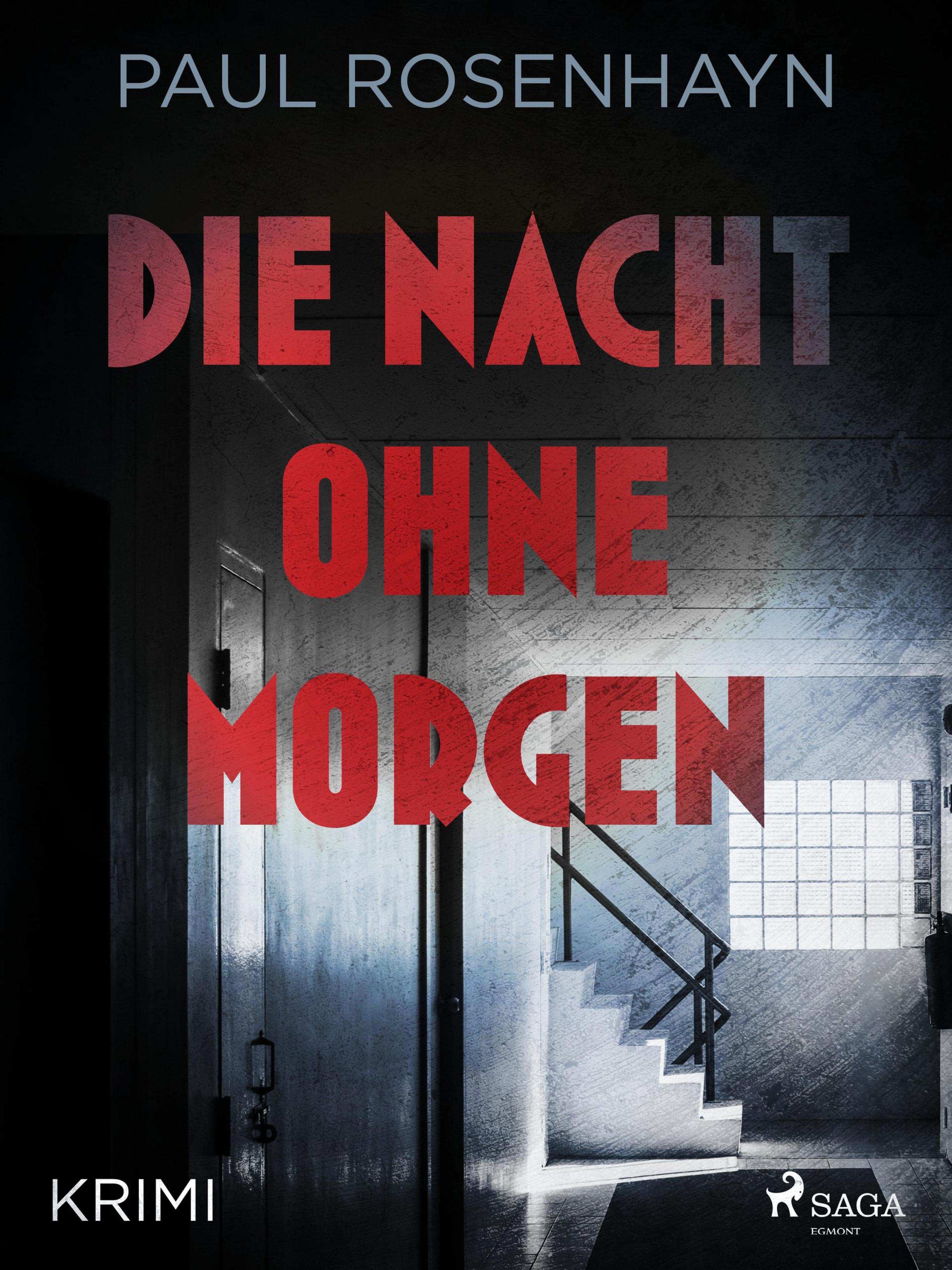 Обложка книги «Die Nacht ohne Morgen - Krimi»