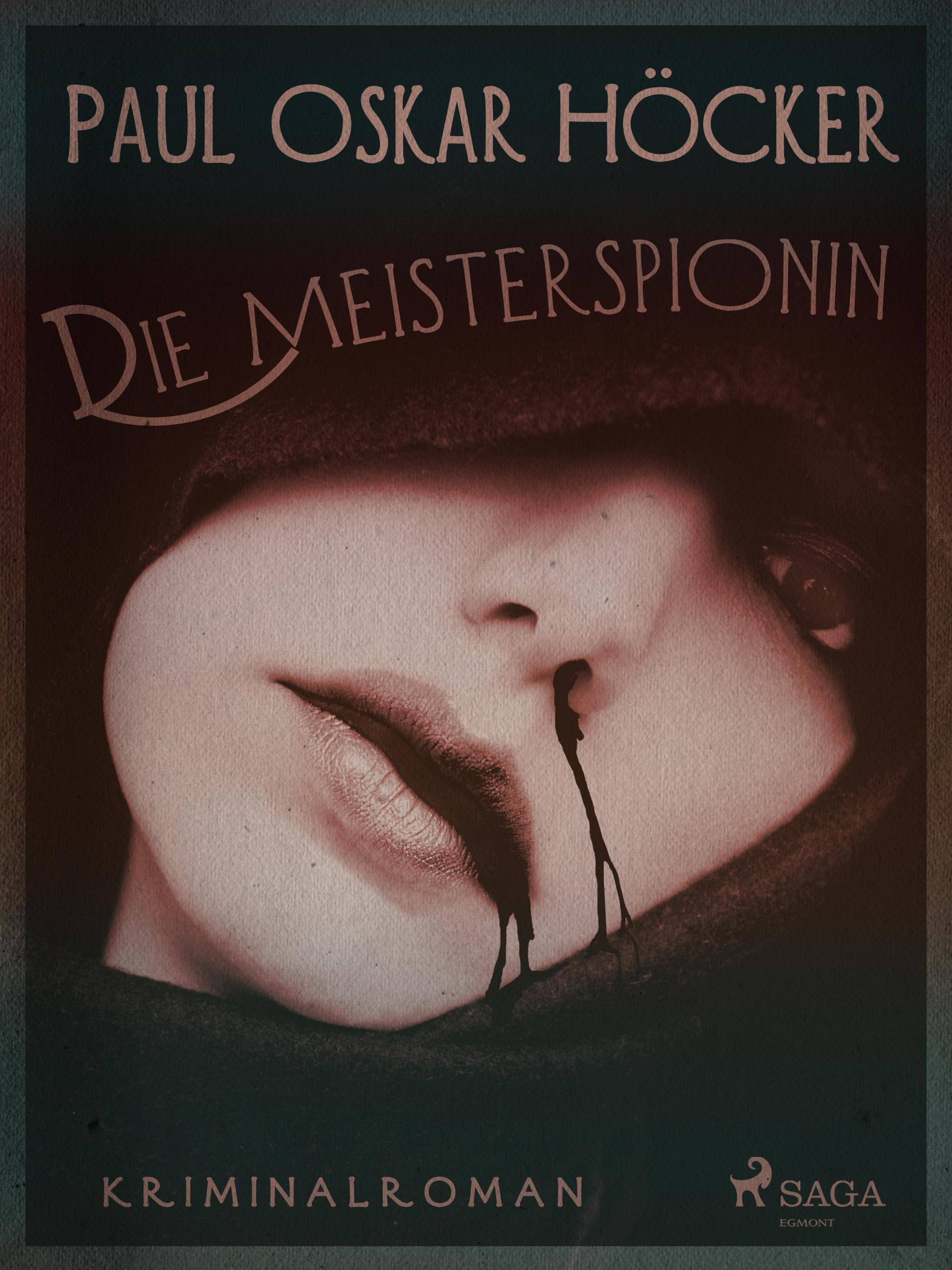 Обложка книги «Die Meisterspionin»