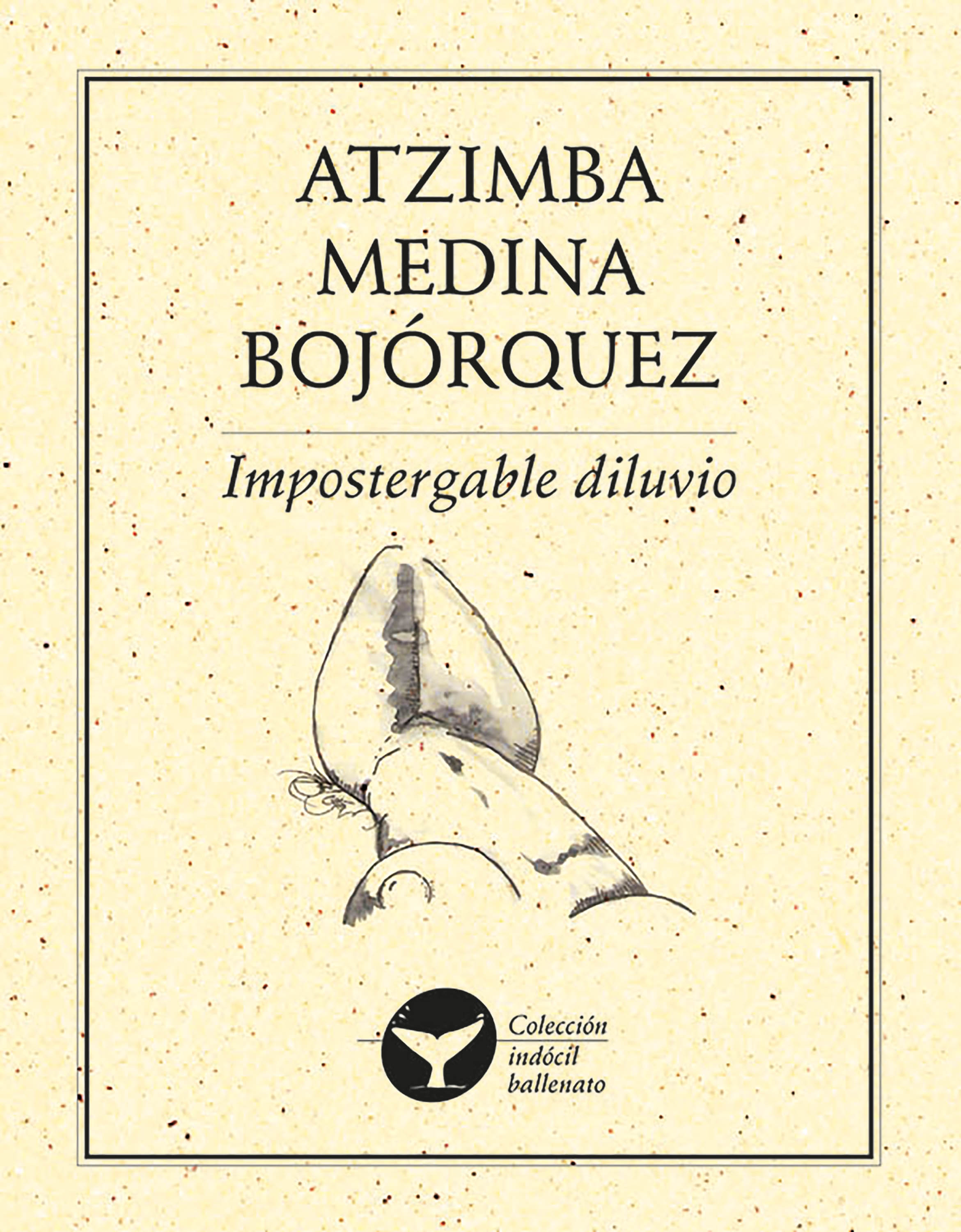 Обложка книги «Impostergable diluvio»