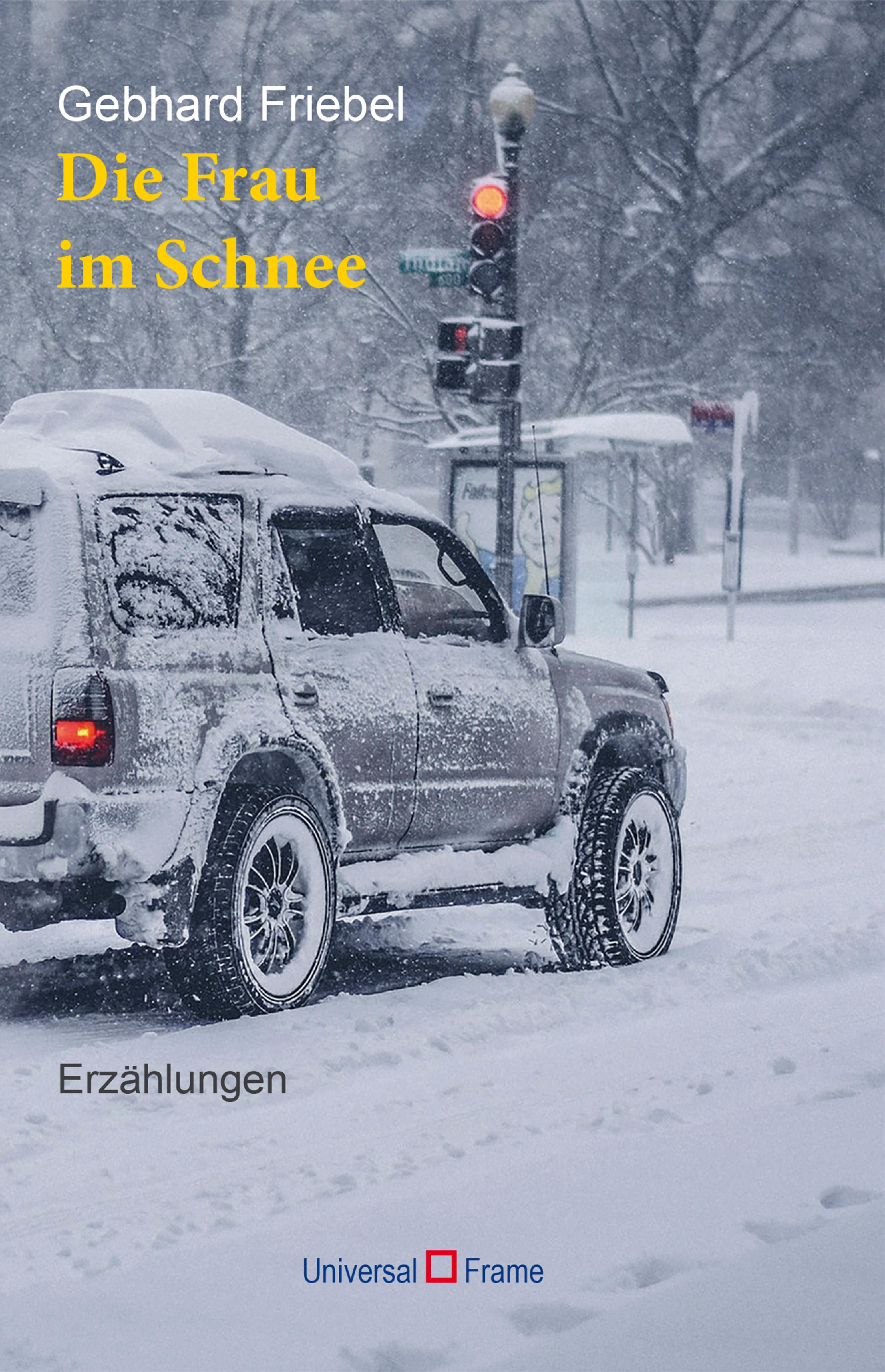 Обложка книги «Die Frau im Schnee»