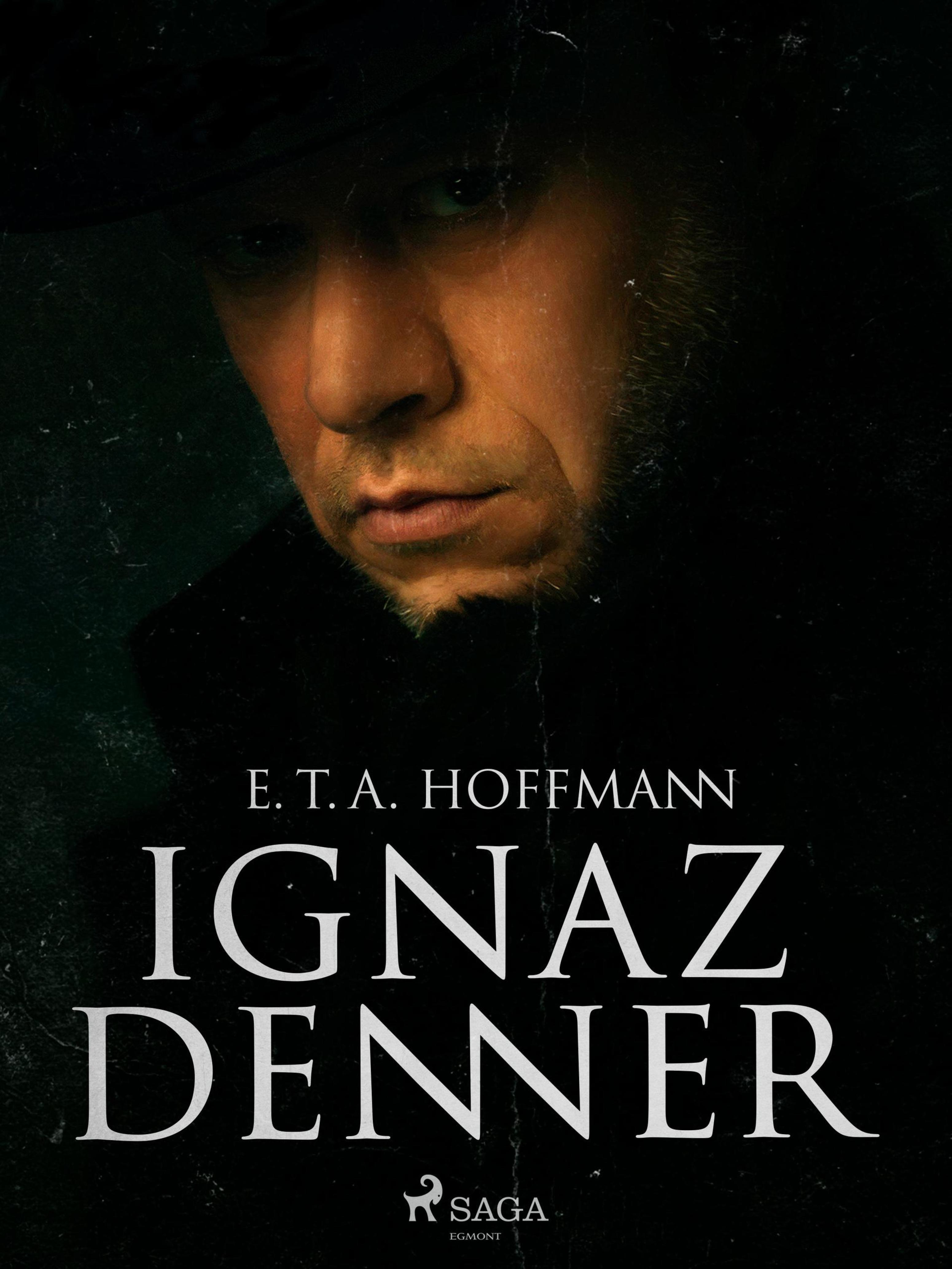 Обложка книги «Ignaz Denner»