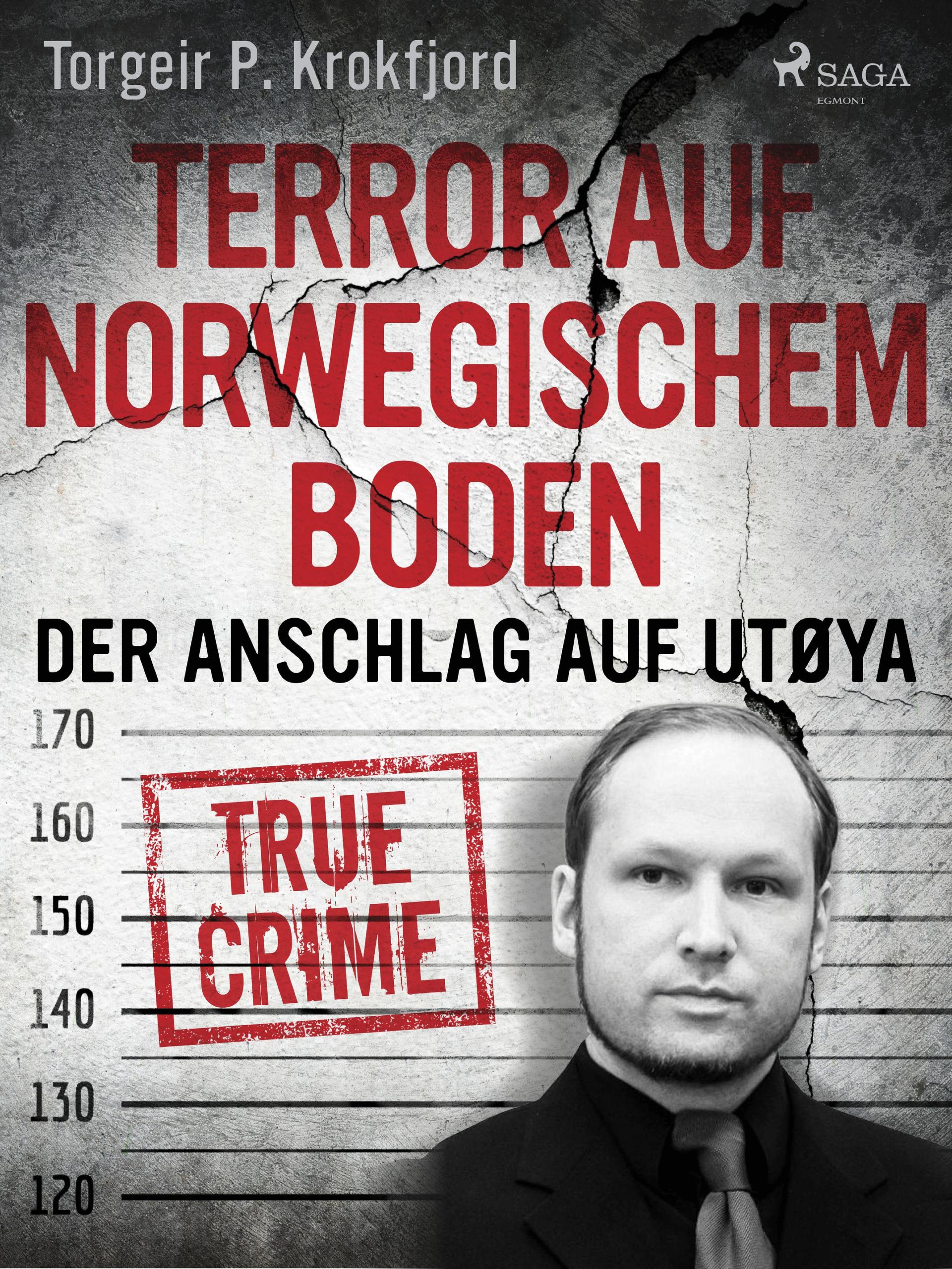 Обложка книги «Terror auf norwegischem Boden: Der Anschlag auf Utøya»