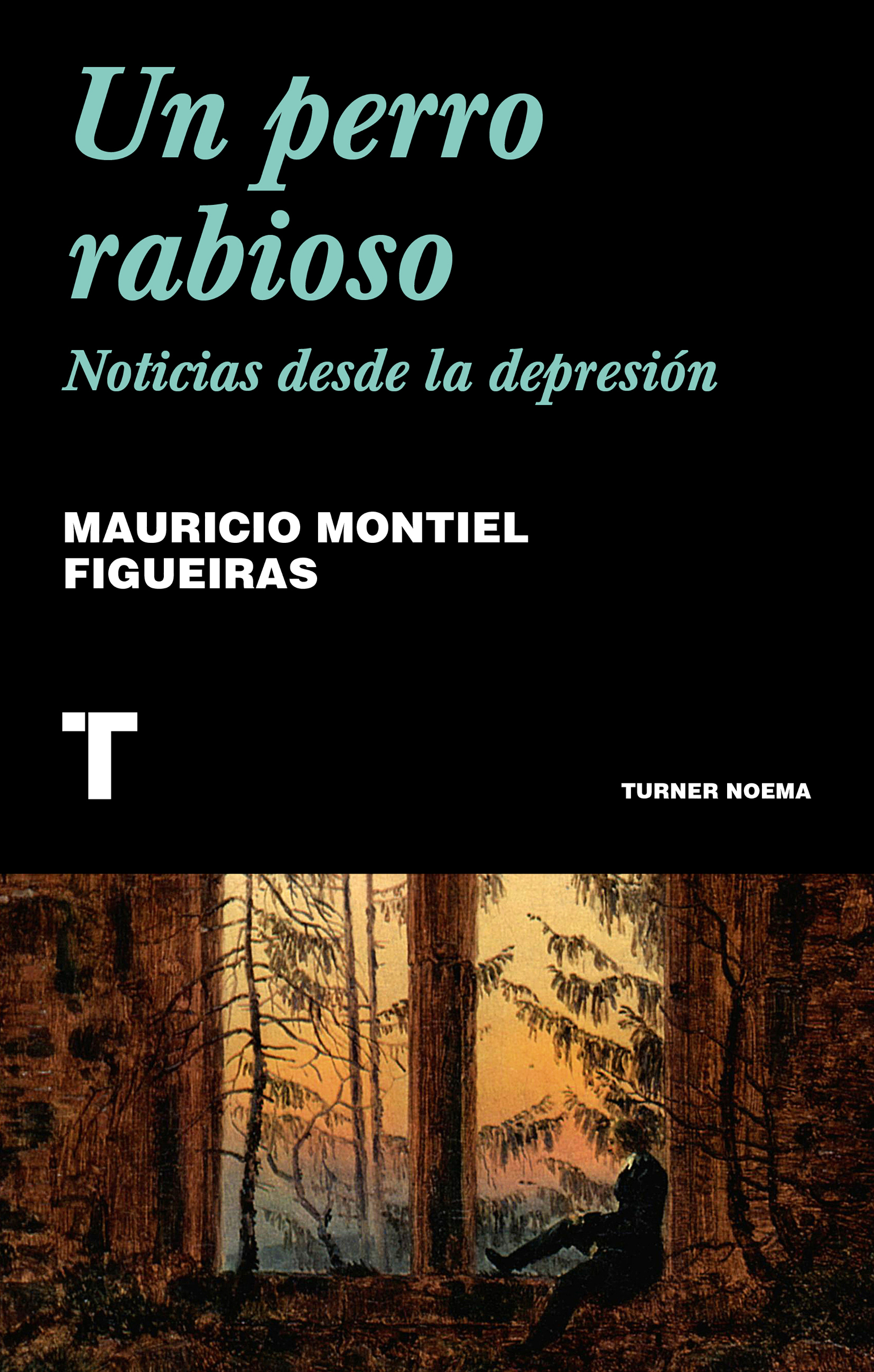 Обложка книги «Un perro rabioso»