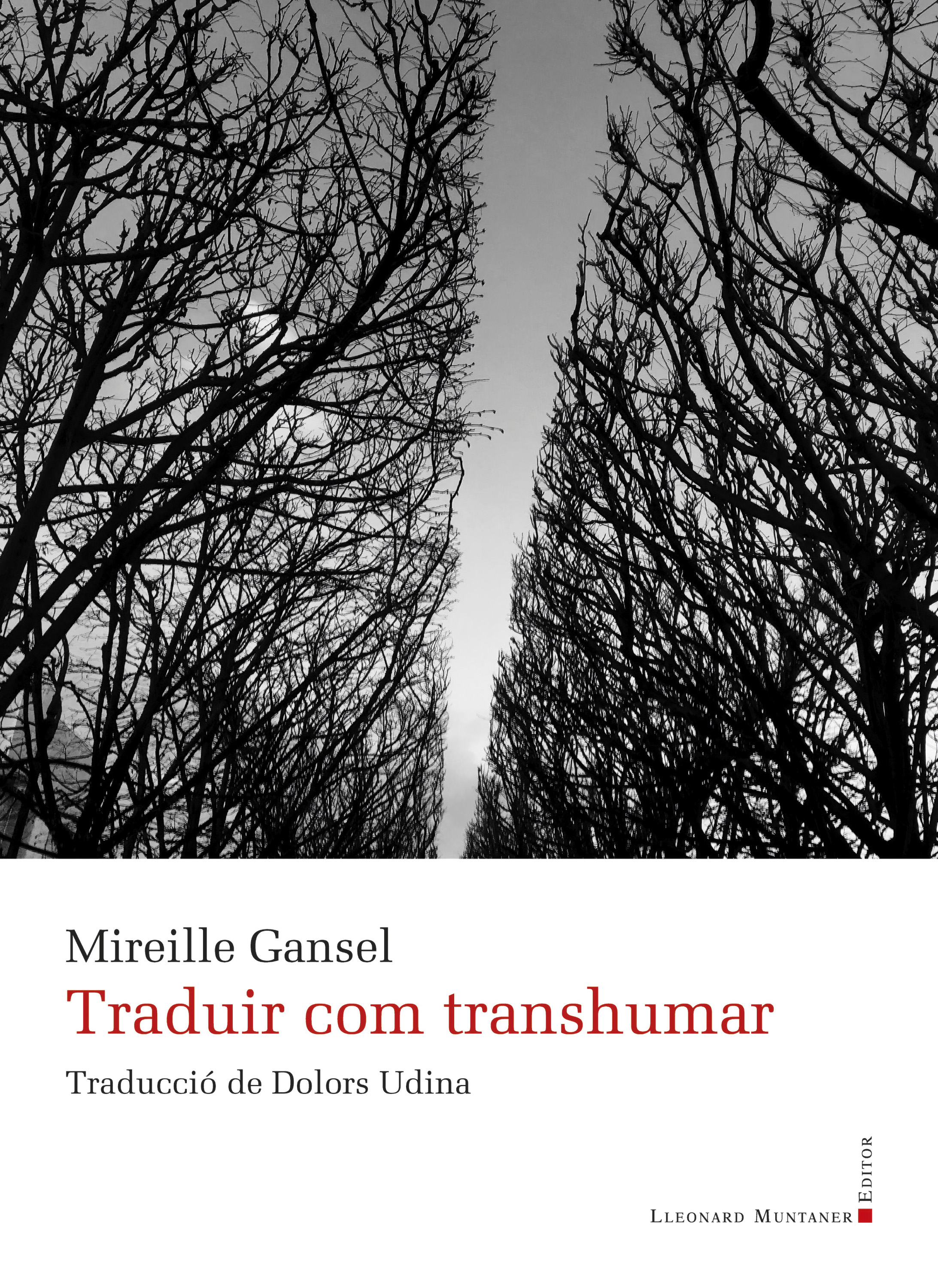 Обложка книги «Traduir com transhumar»