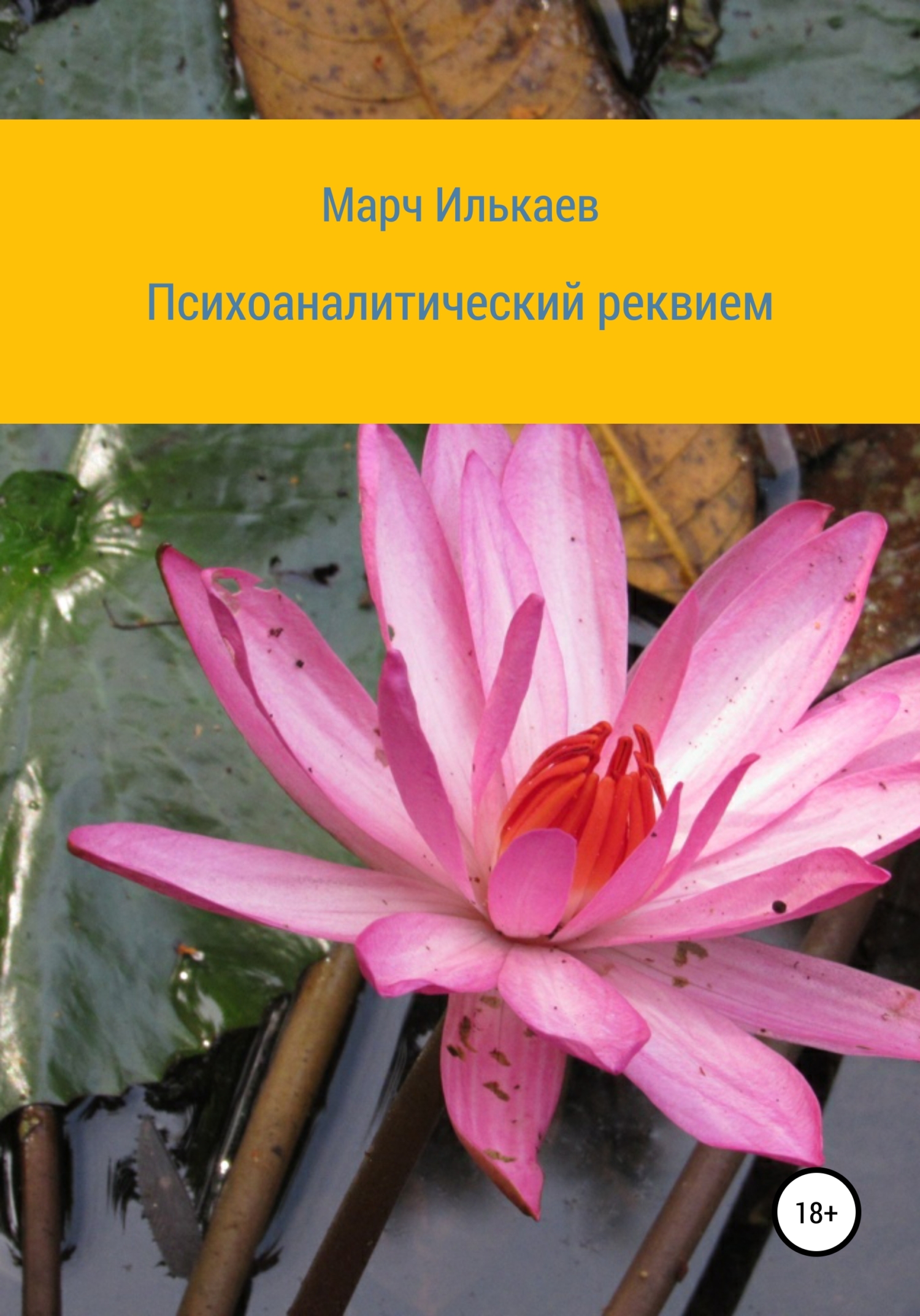 Обложка книги «Психоаналитический реквием»