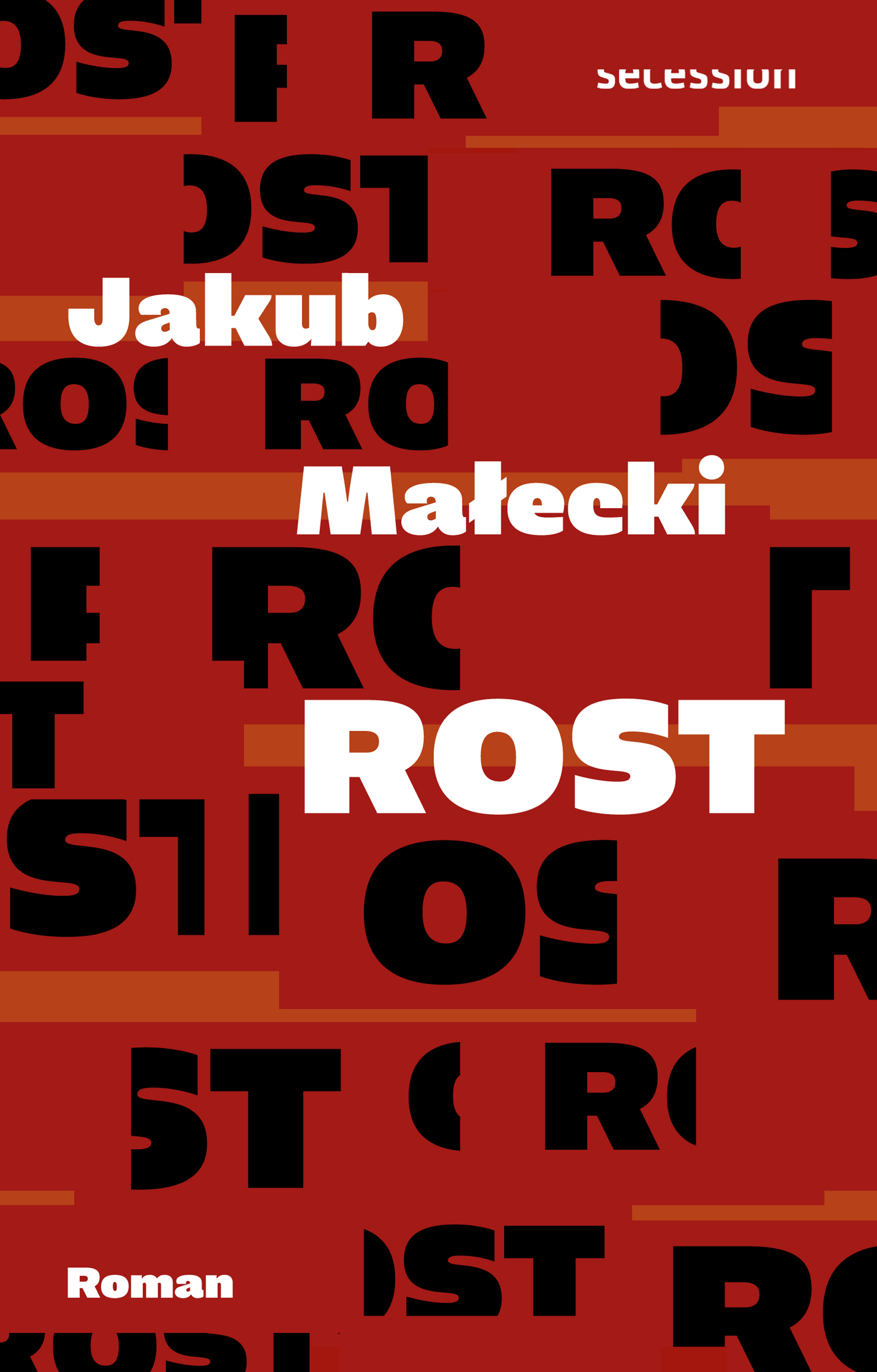 Обложка книги «Rost»