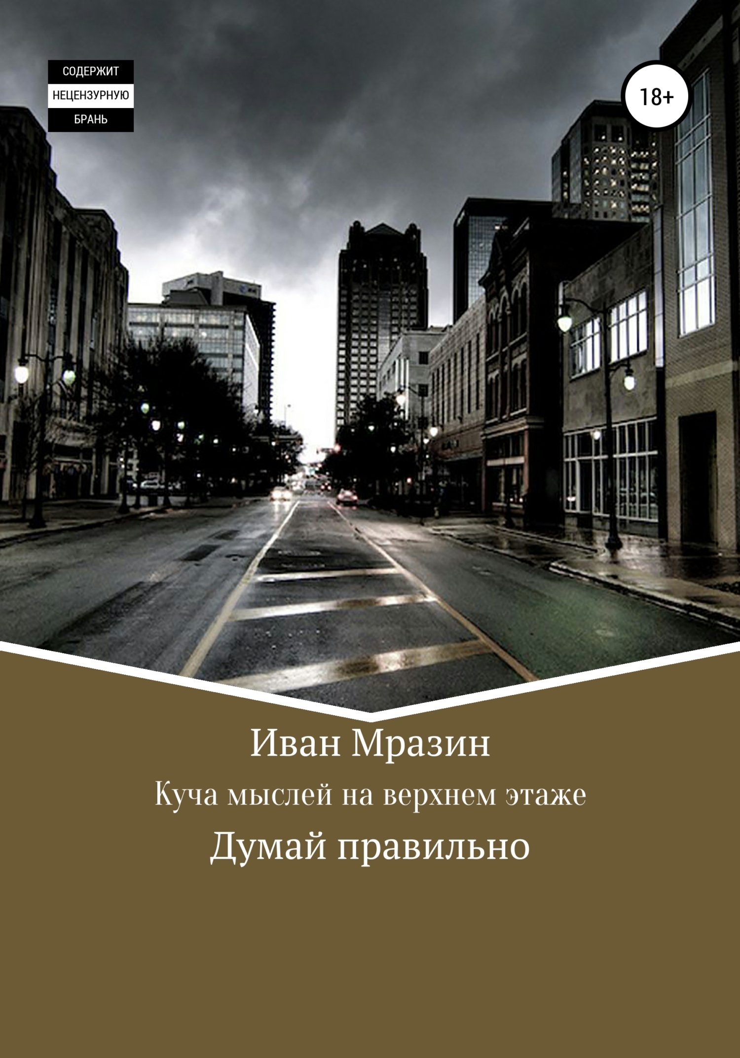 Обложка книги «Куча мыслей на верхнем этаже»