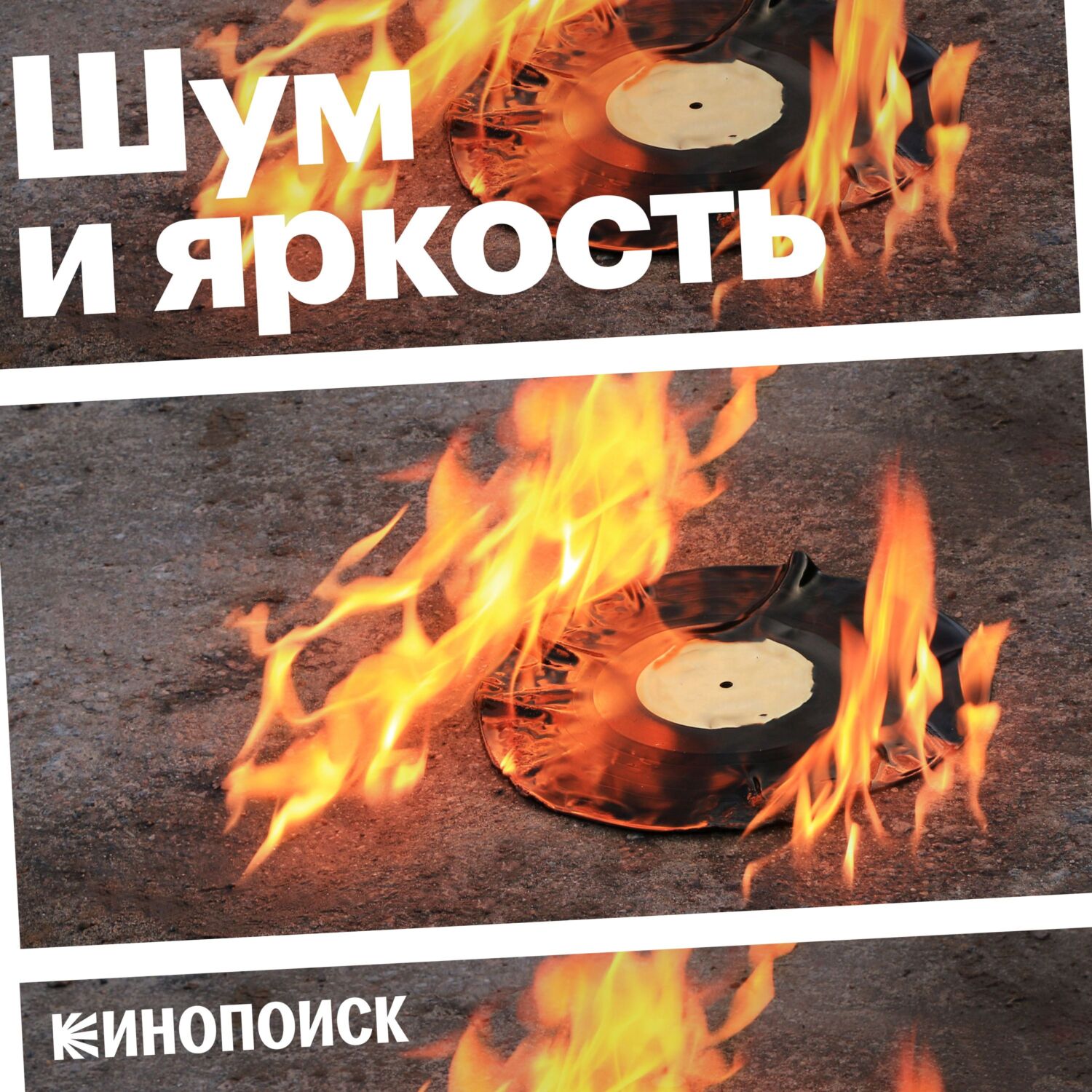 Обложка книги «Шум и яркость»