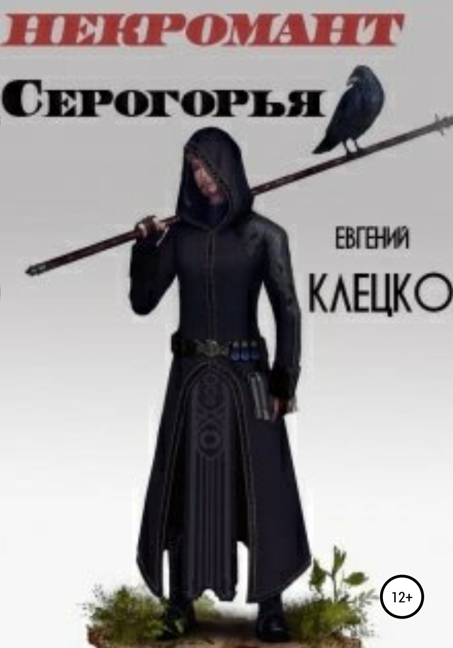 Обложка книги «Некромант Серогорья»