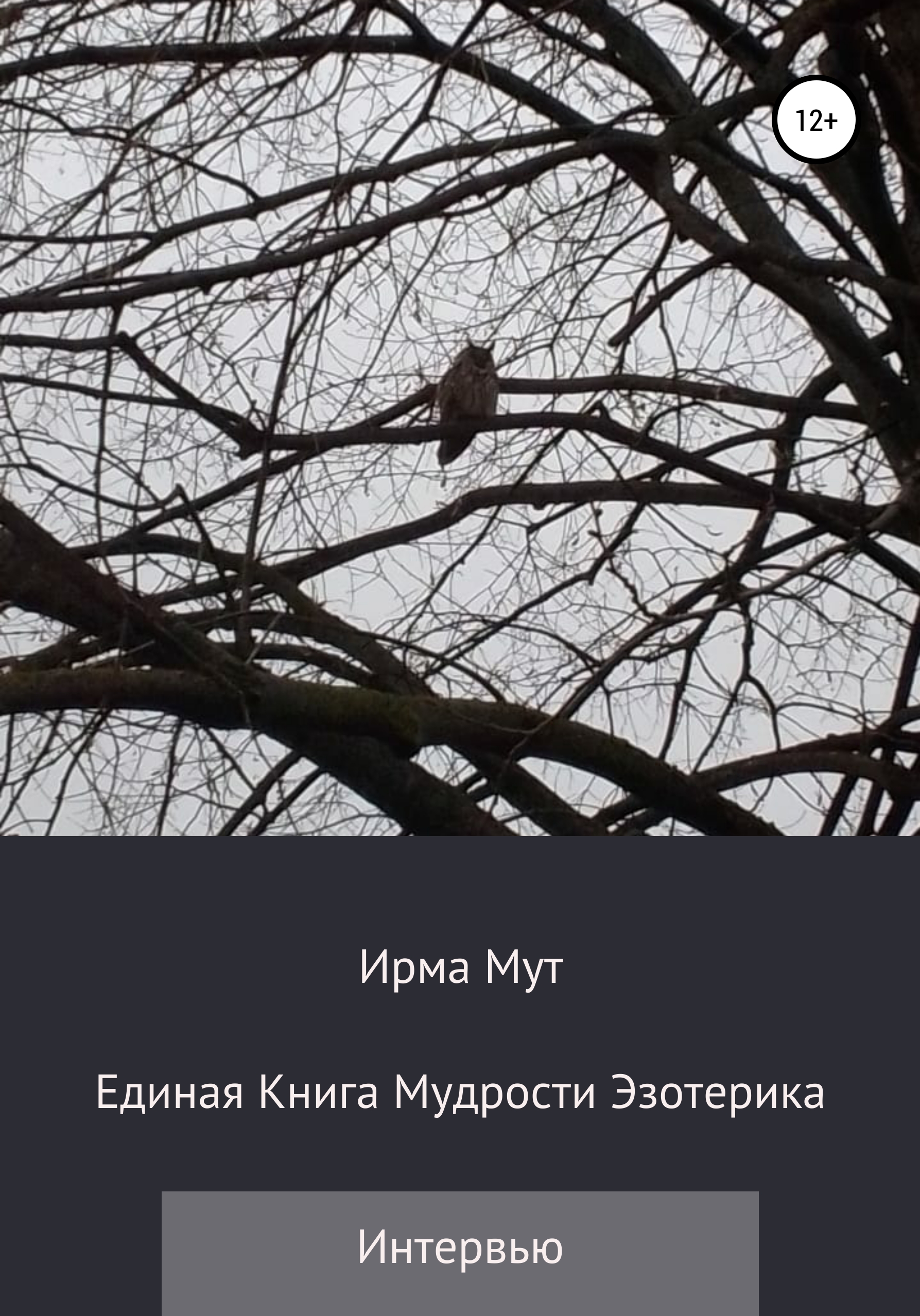 Обложка книги «Единая книга мудрости эзотерика»