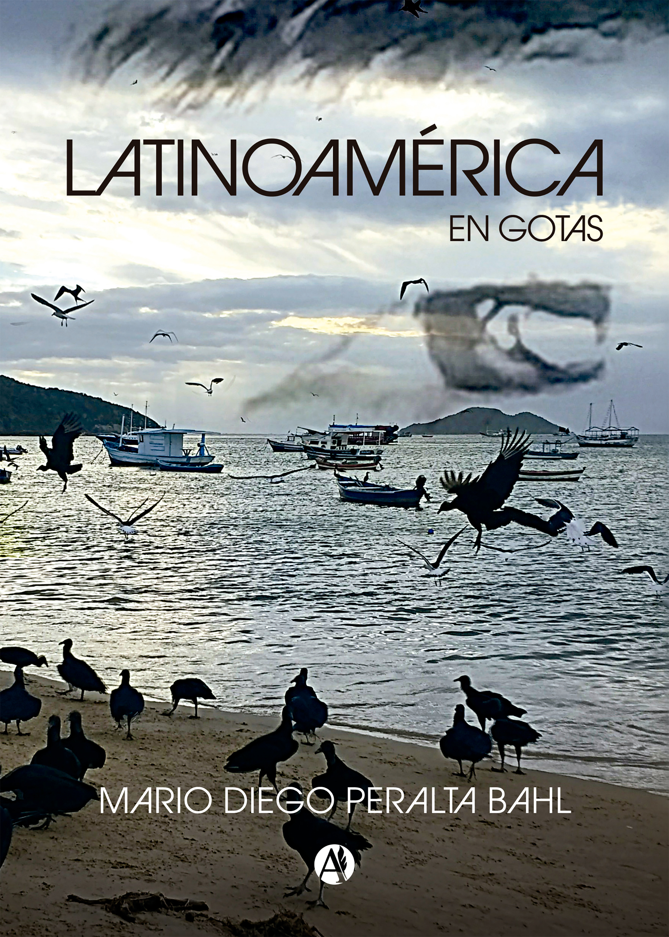 Обложка книги «Latinoaméroca en gotas»