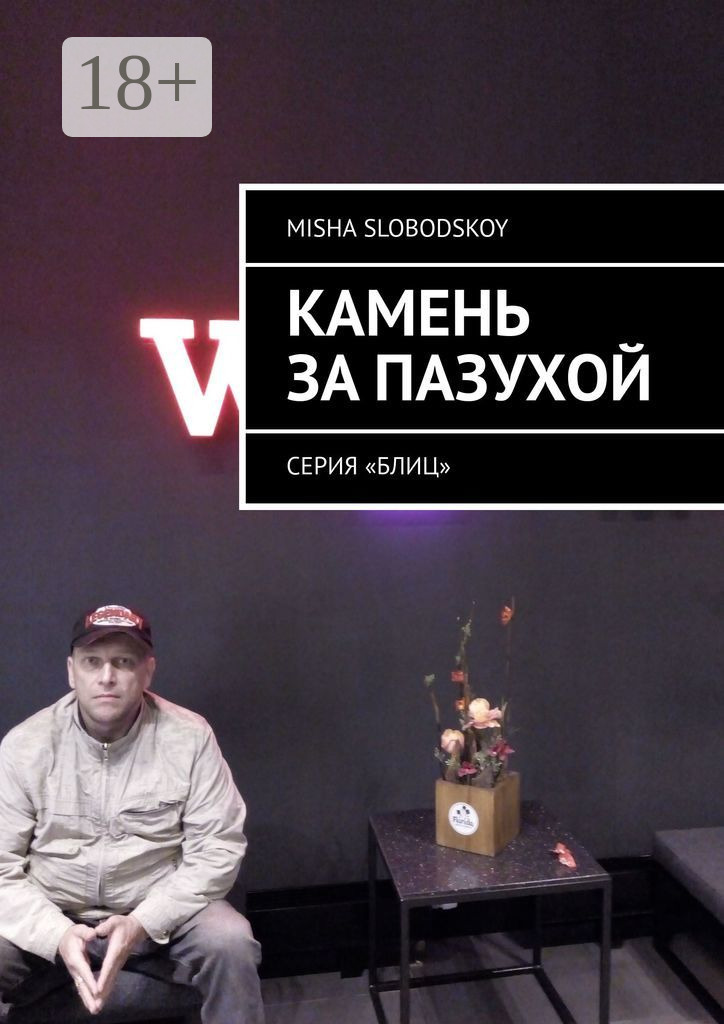 Обложка книги «Камень за пазухой. Серия «Блиц»»