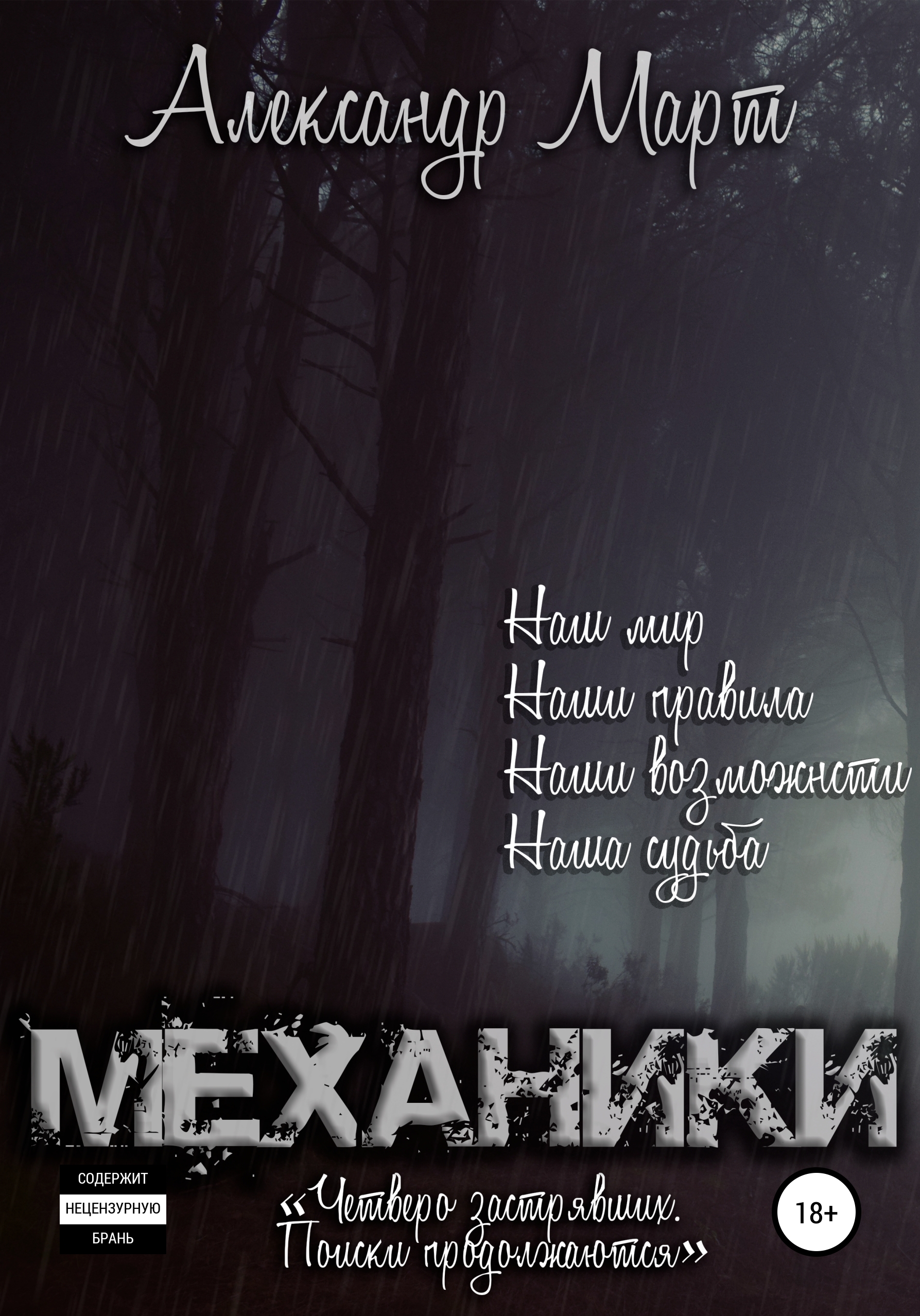 Обложка книги «Механики. Четверо застрявших. Поиски продолжаются»