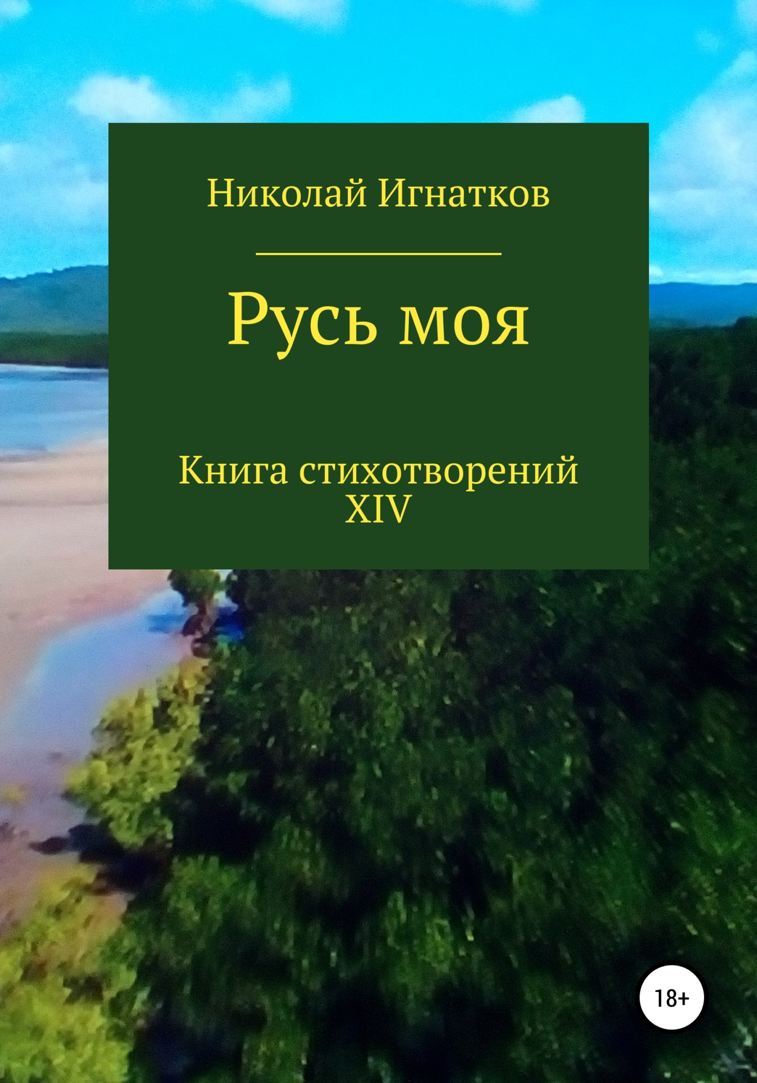 Обложка книги «Русь моя. Книга XIV»