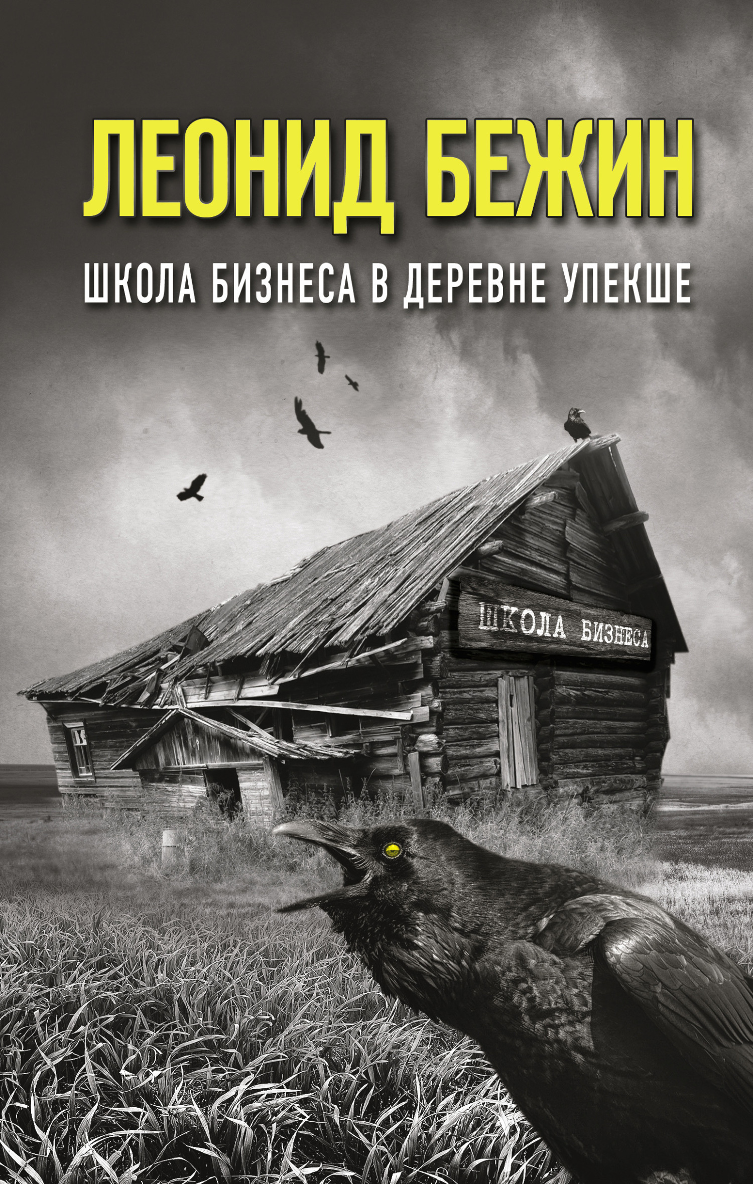 Обложка книги «Школа бизнеса в деревне Упекше»