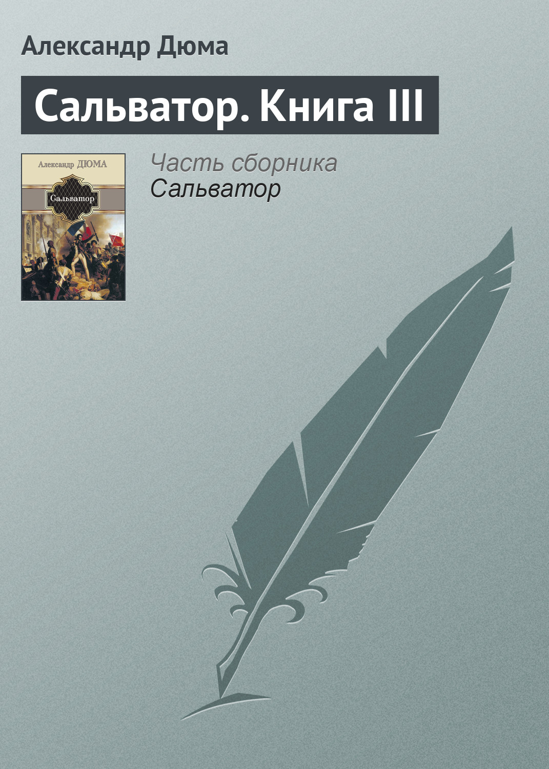 Обложка книги «Сальватор. Книга III»