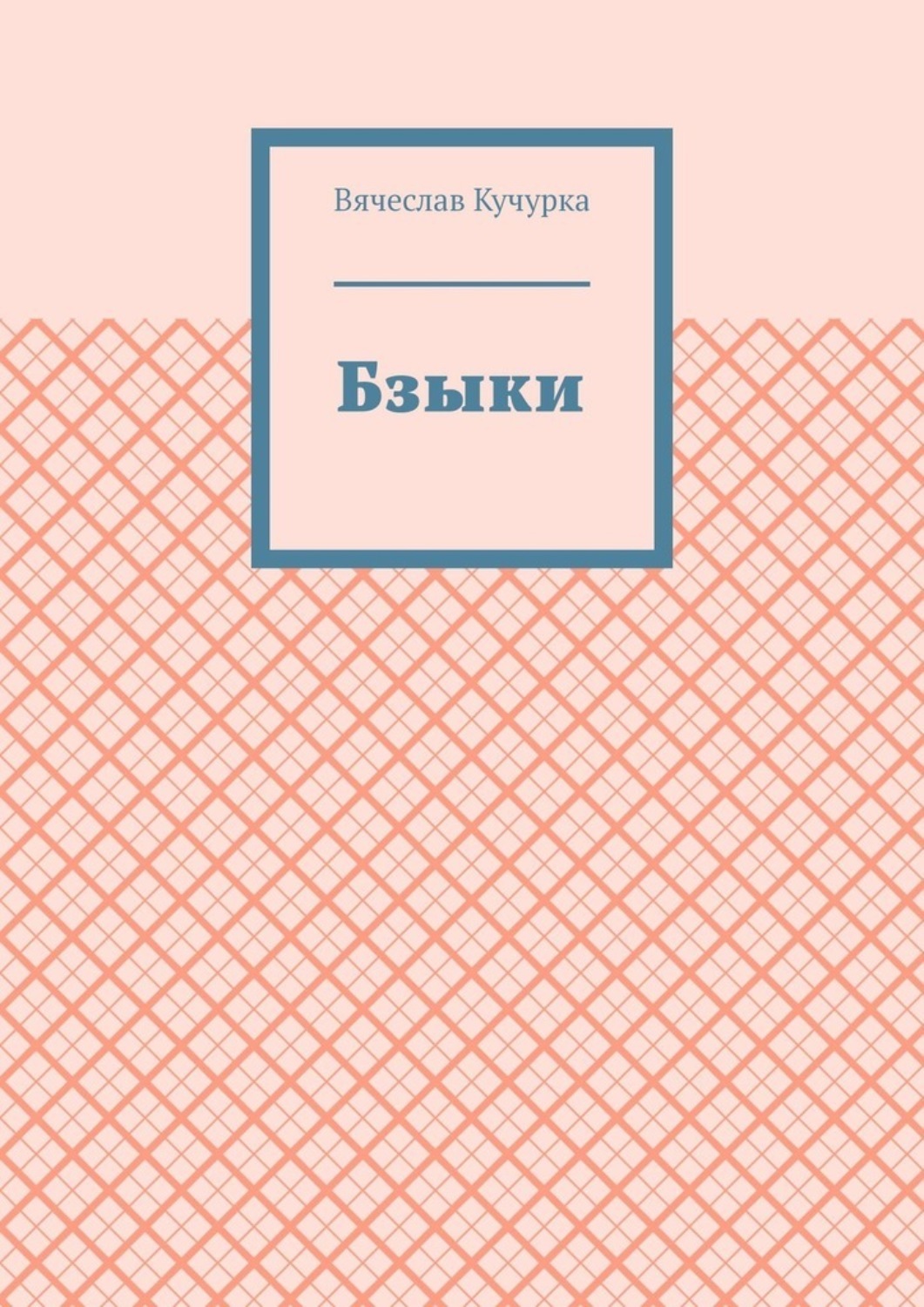 Обложка книги «Бзыки»