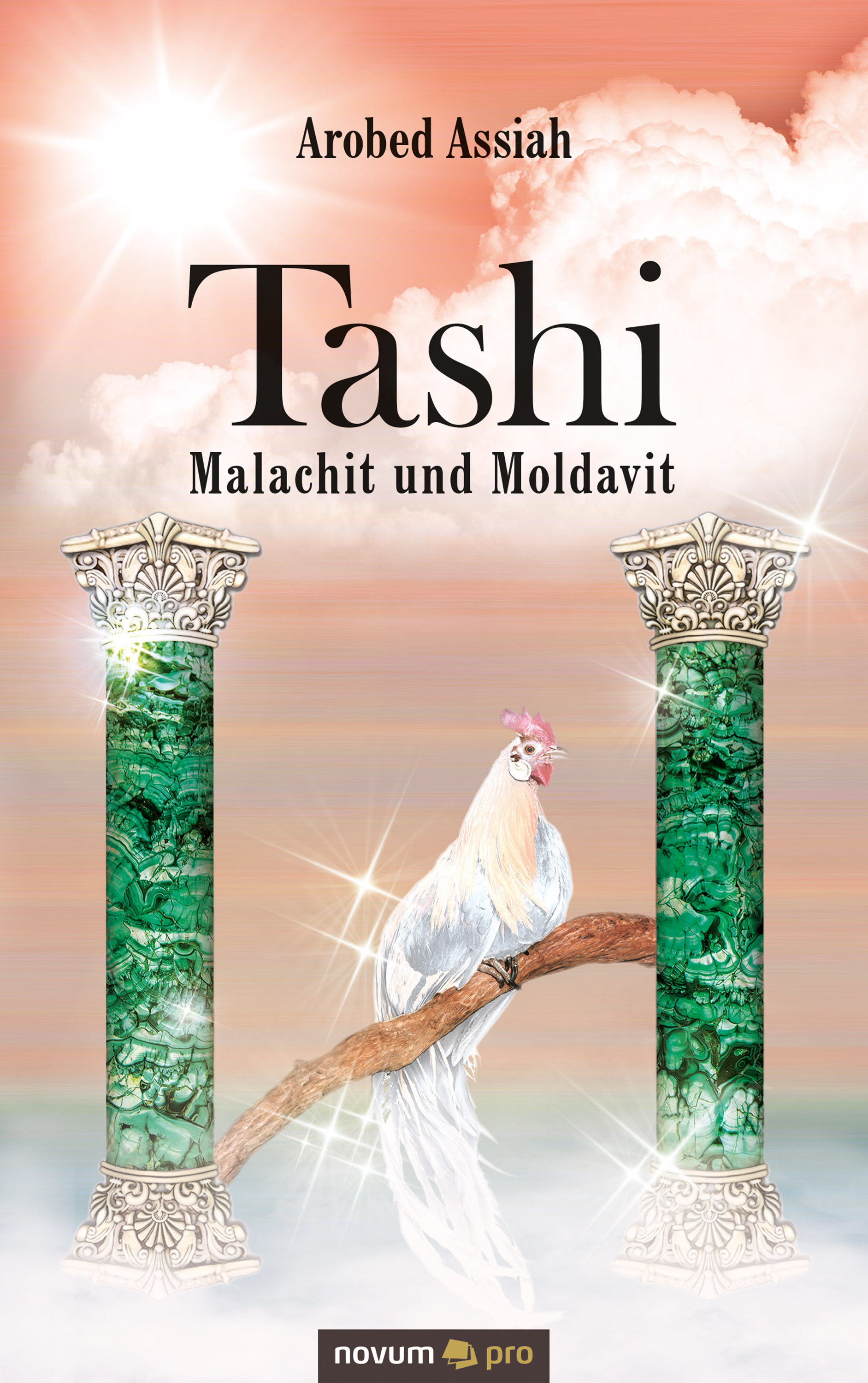 Обложка книги «Tashi – Malachit und Moldavit»