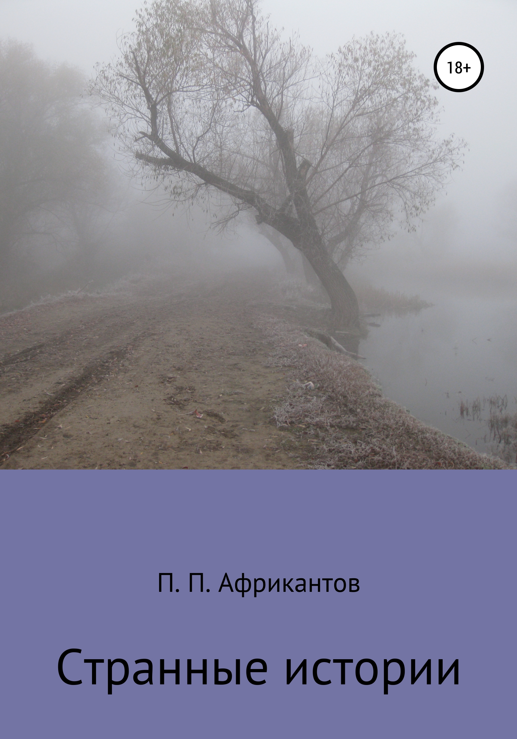 Обложка книги «Странные истории»
