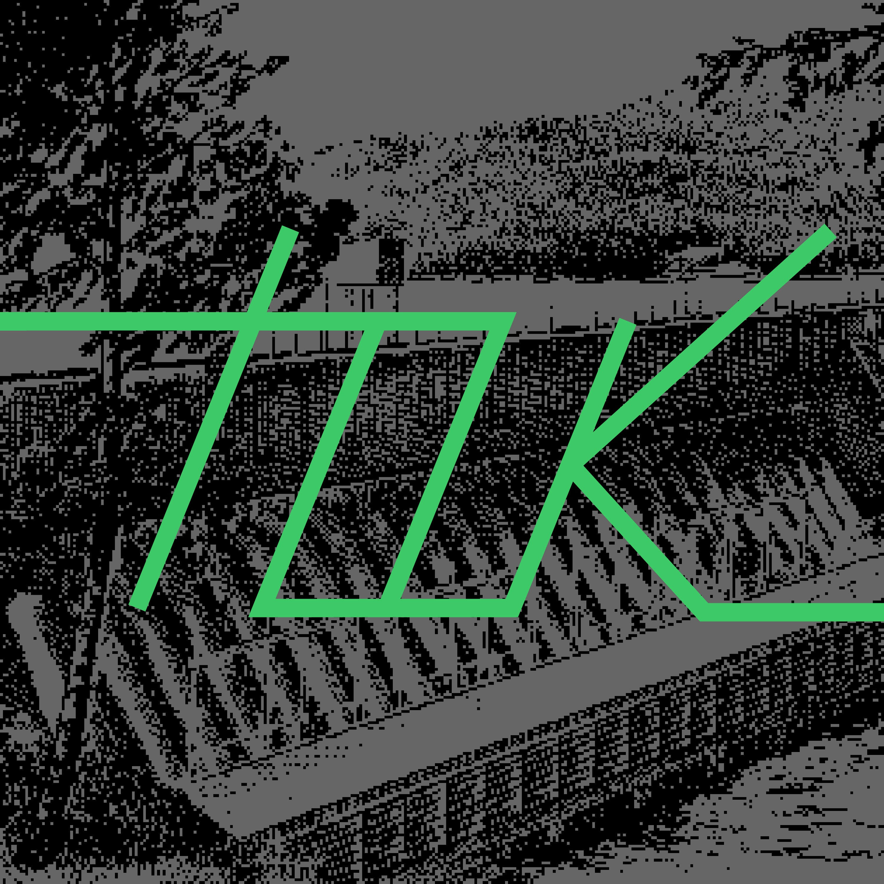 Обложка книги «Ток»