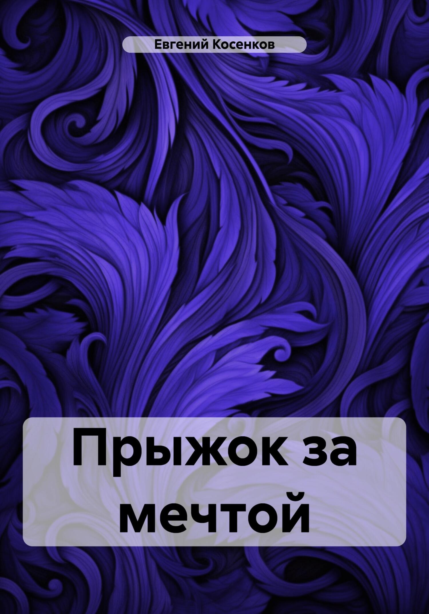 Обложка книги «Прыжок за мечтой»