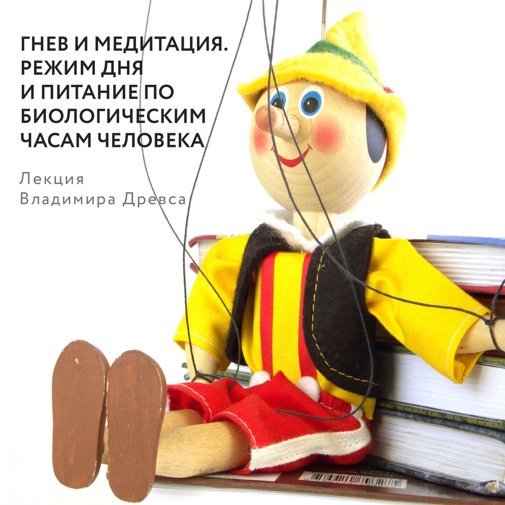 Обложка книги «Гнев и медитация. Режим дня и питание по биологическим часам человека»