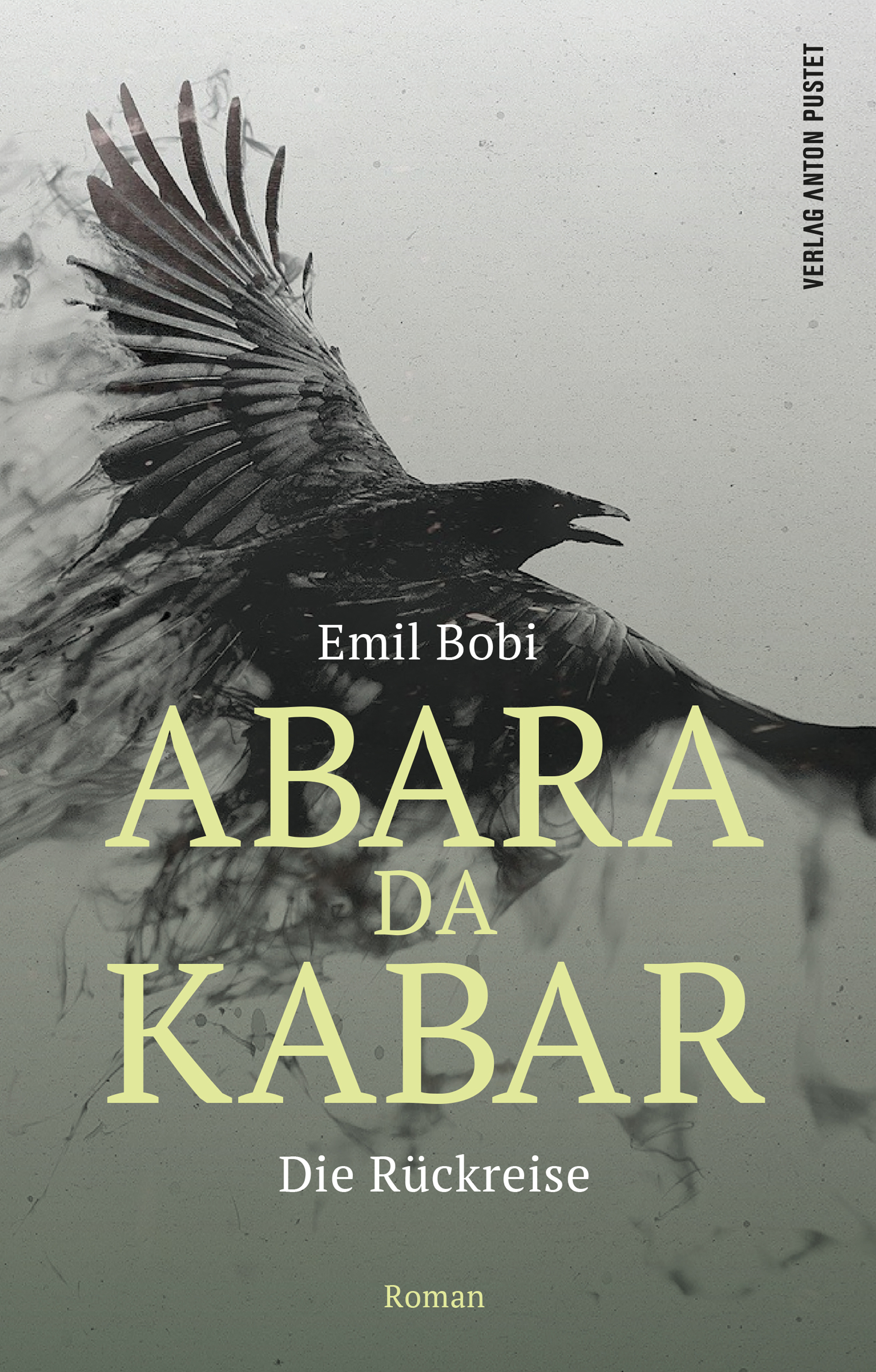 Обложка книги «Abara Da Kabar»