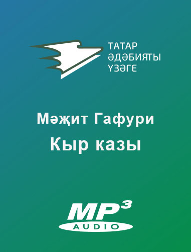 Обложка книги «Кыр казы»
