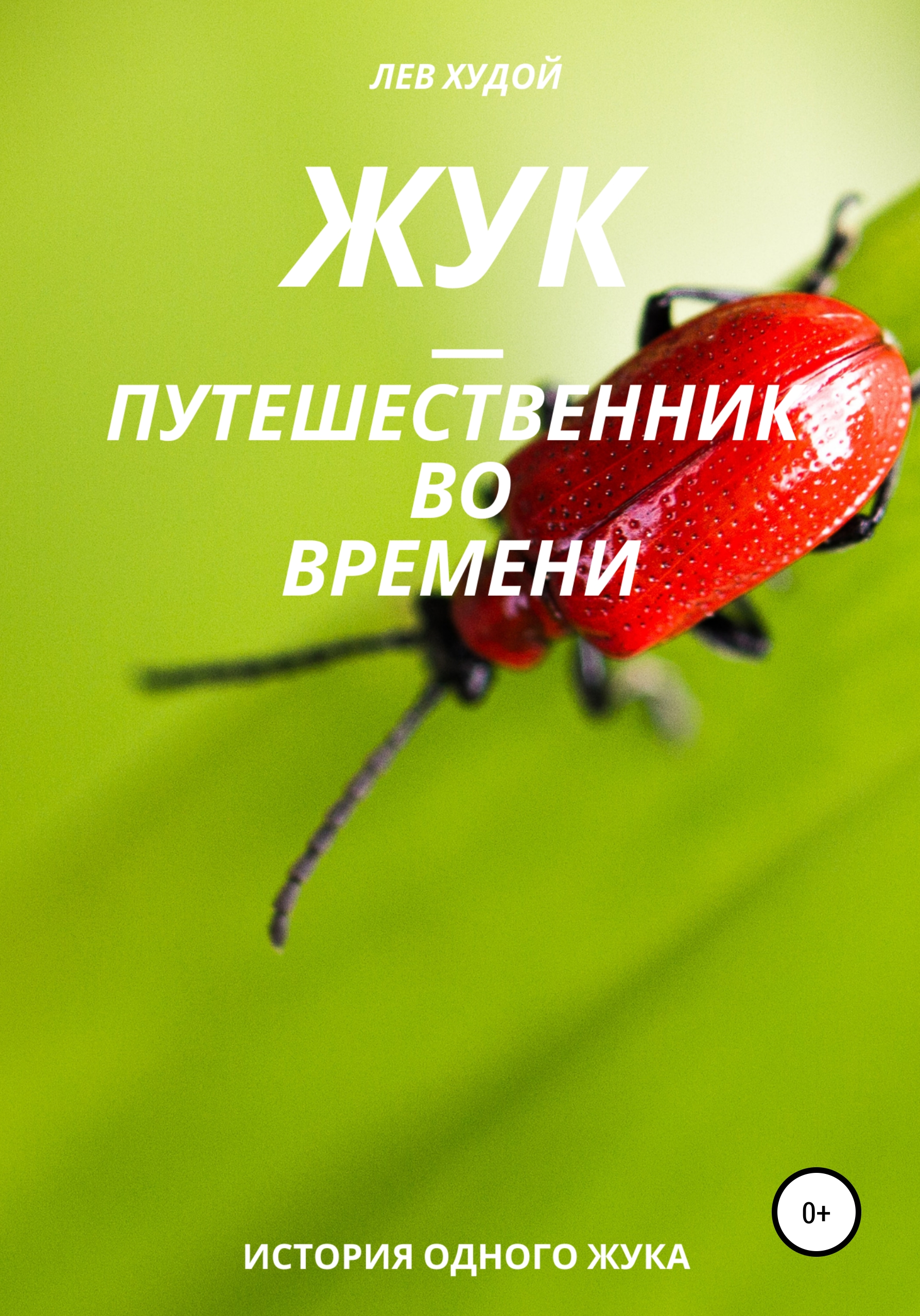 Обложка книги «Жук – путешественник во времени»