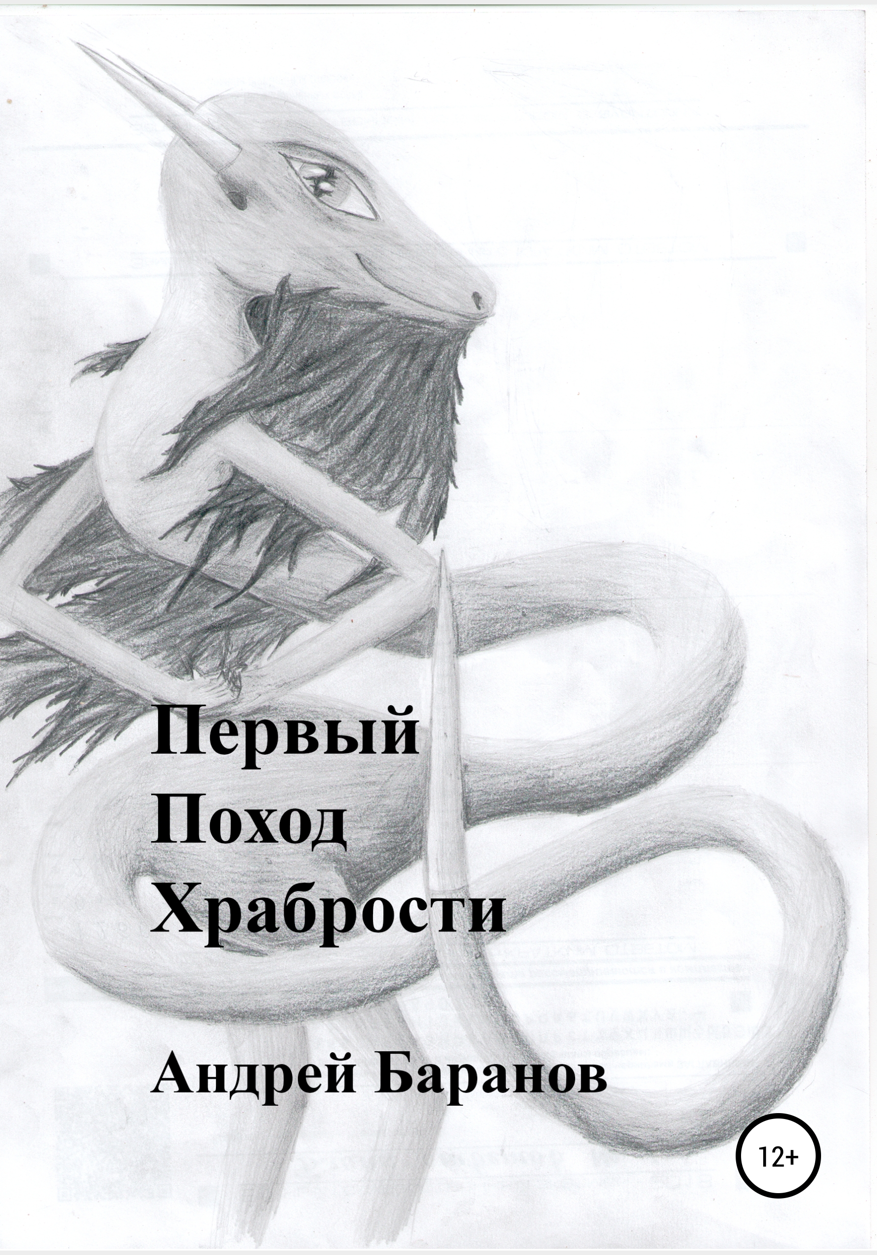 Обложка книги «Первый Поход Храбрости»