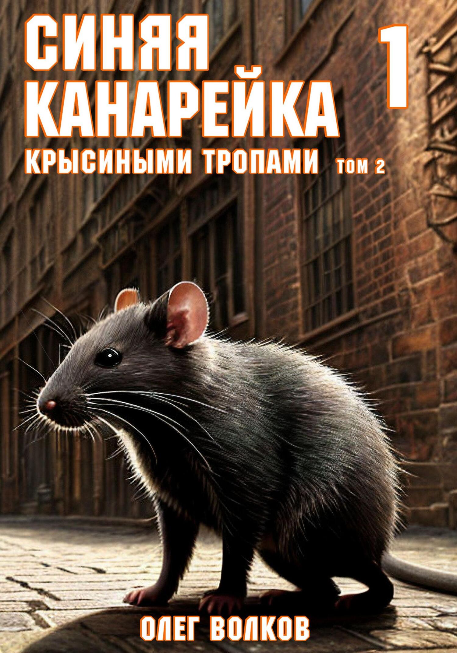 Обложка книги «Крысиными тропами. Том II»