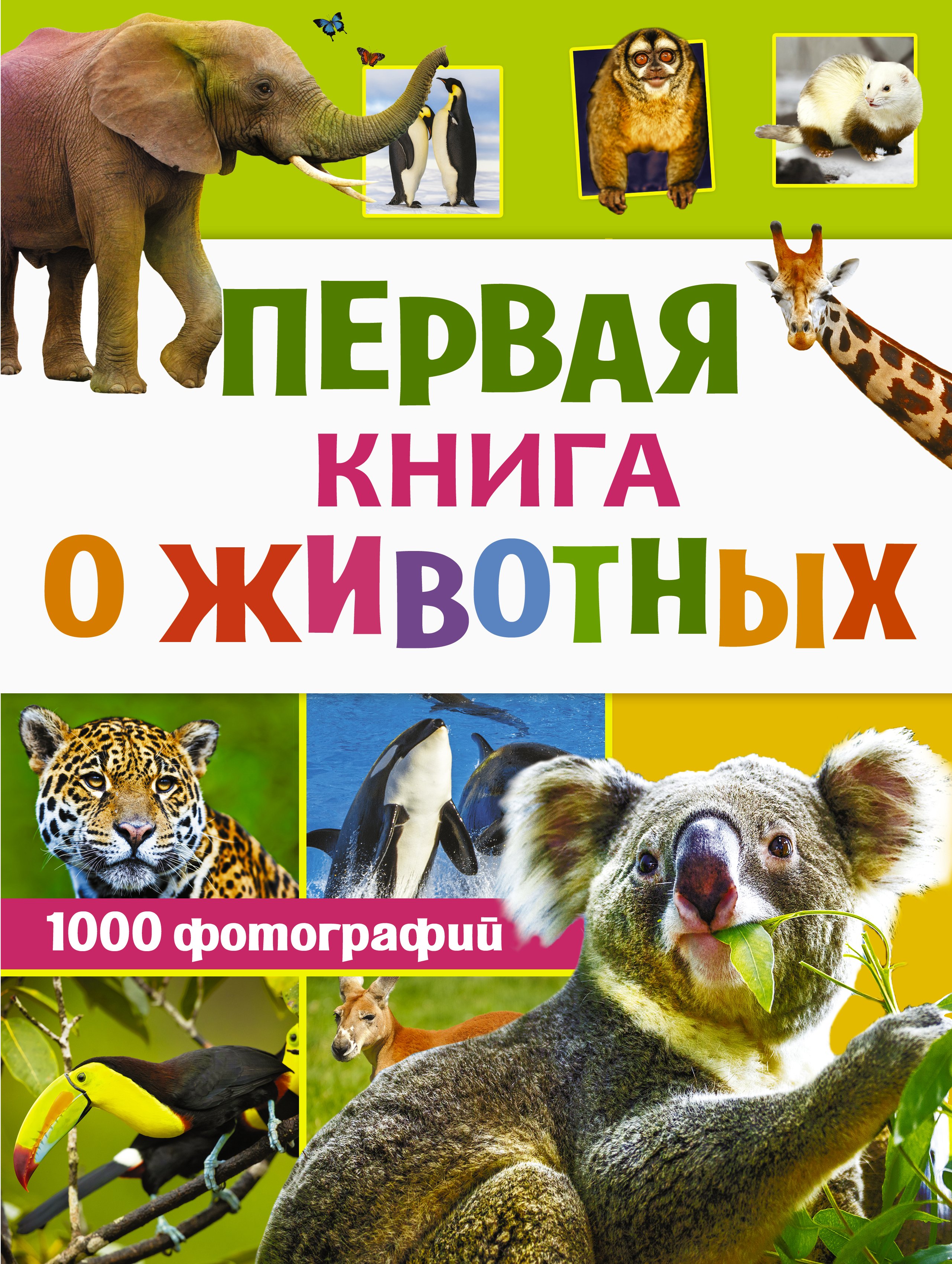 Обложка книги «Первая книга о животных. 1000 фотографий»