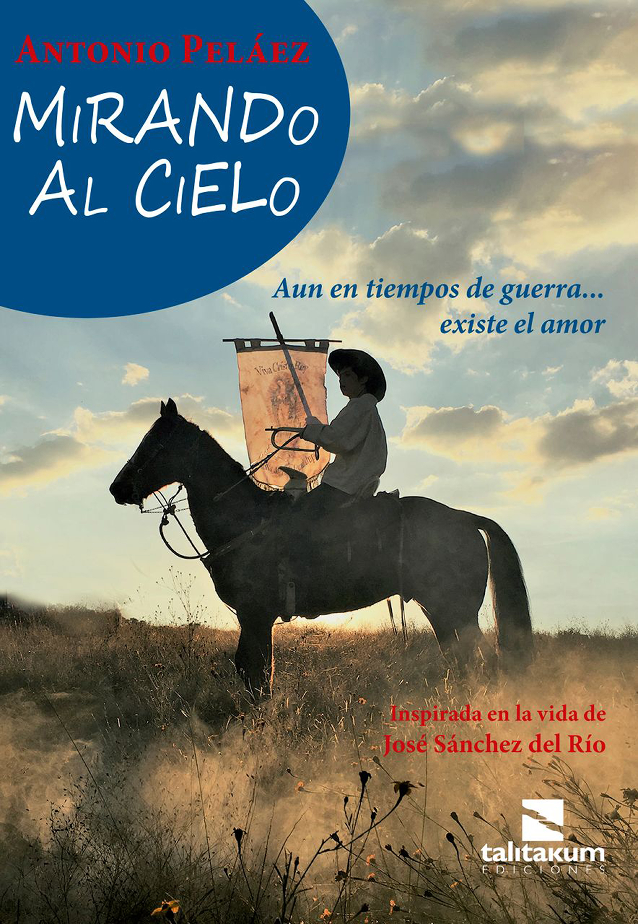 Обложка книги «Mirando al Cielo»