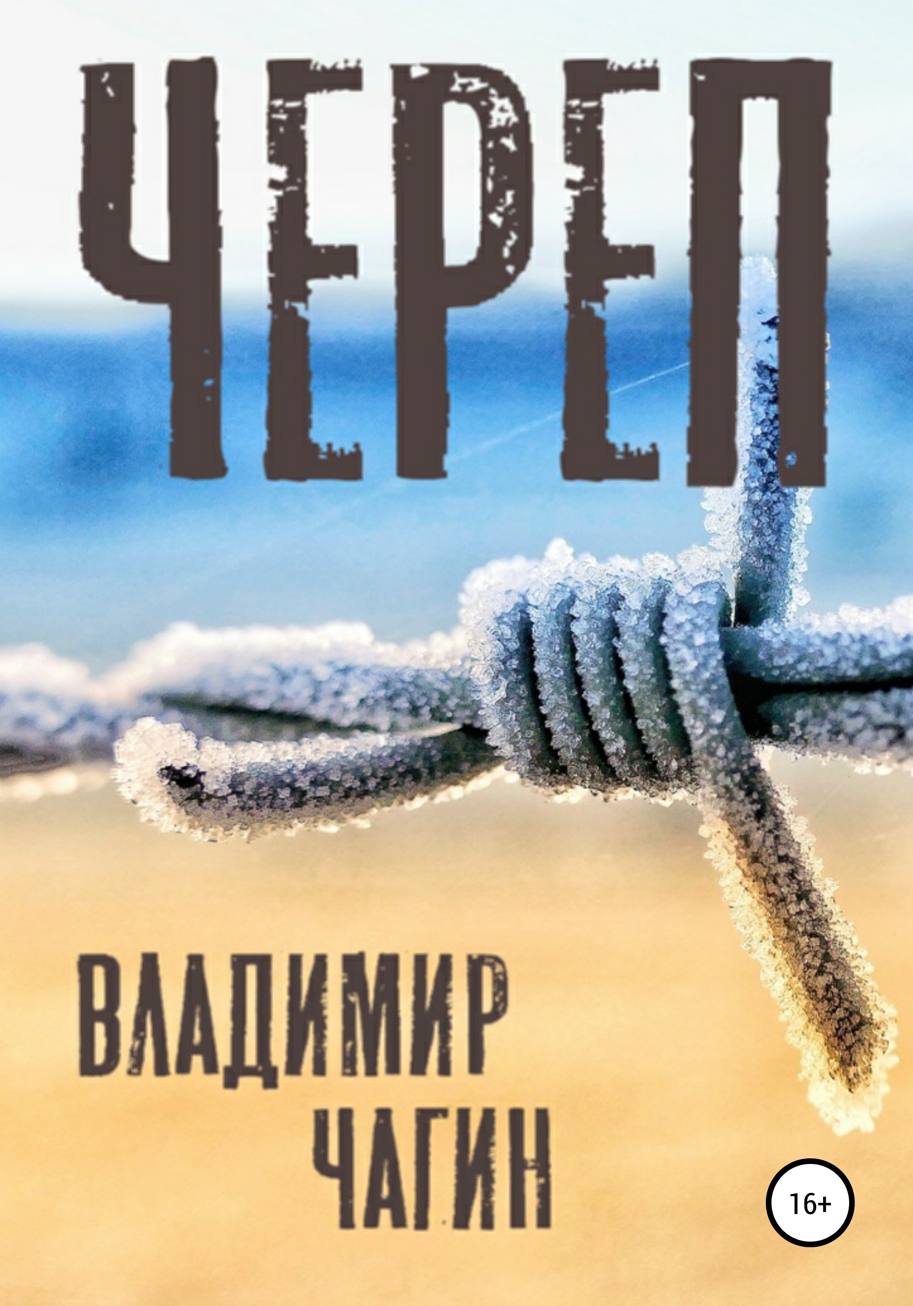 Обложка книги «Череп»