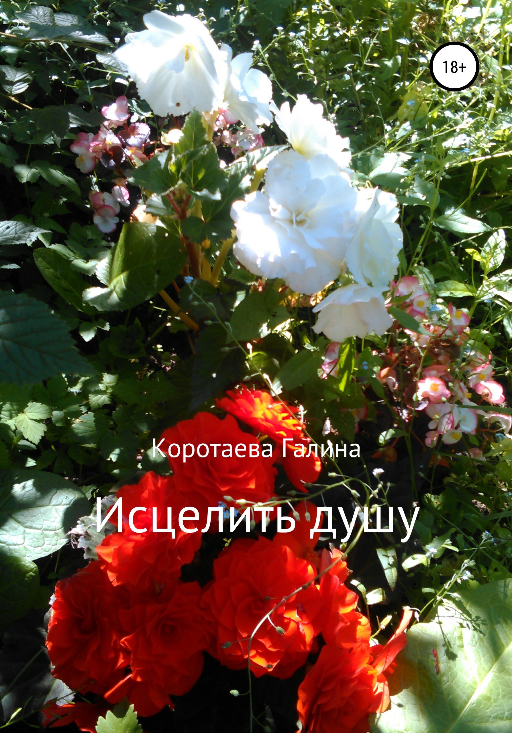 Обложка книги «Исцелить душу»