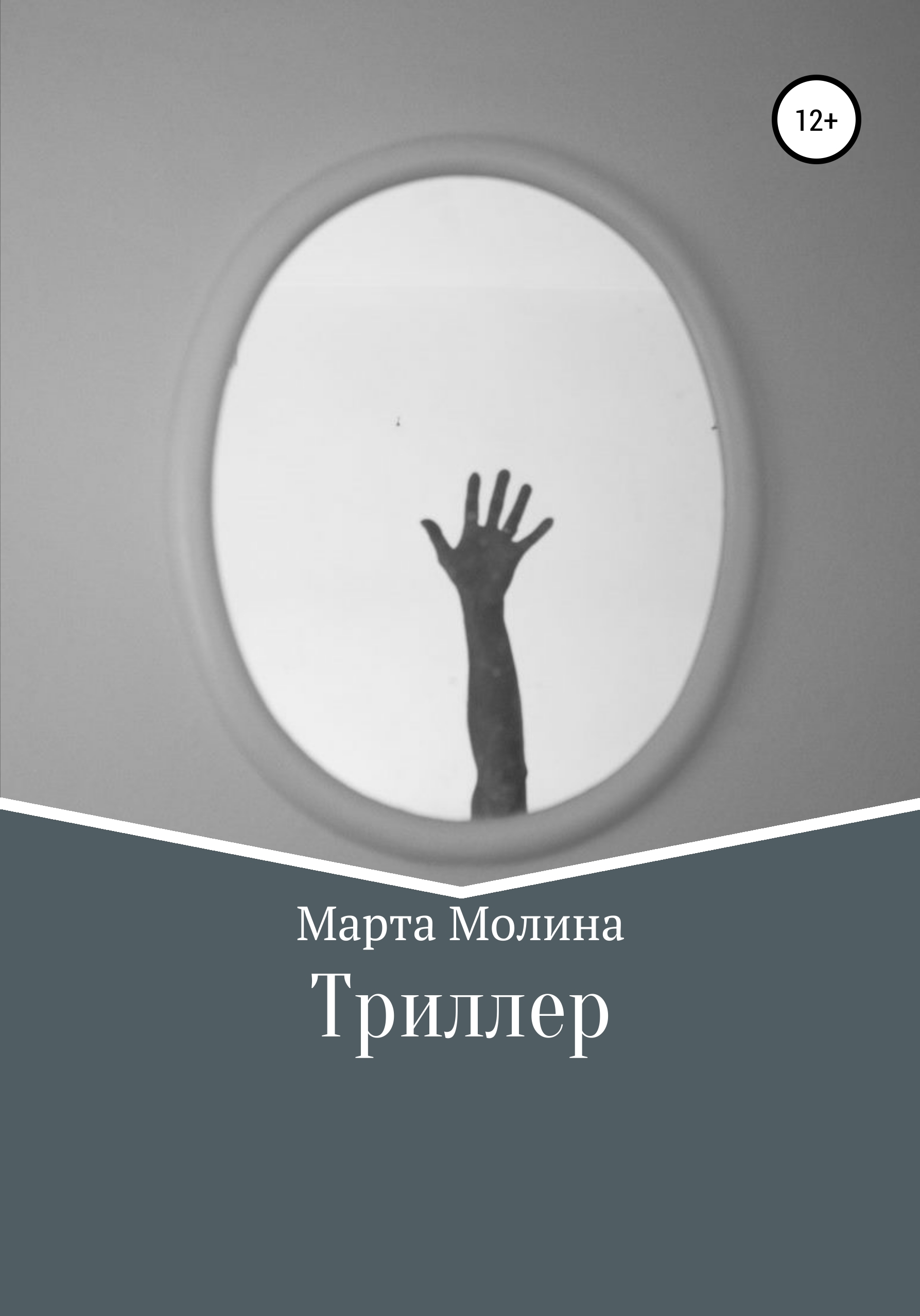 Обложка книги «Триллер»