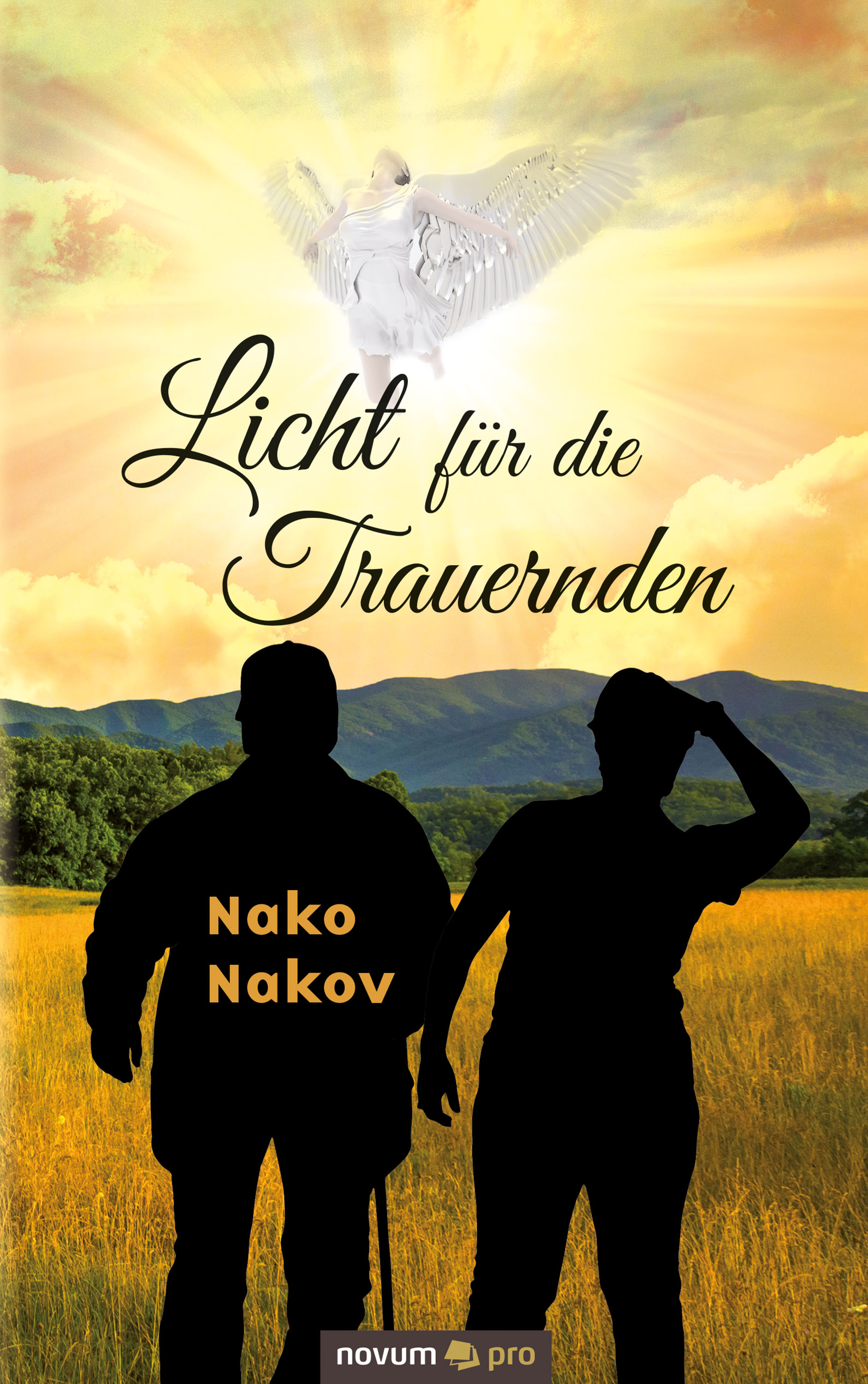 Обложка книги «Licht für die Trauernden»