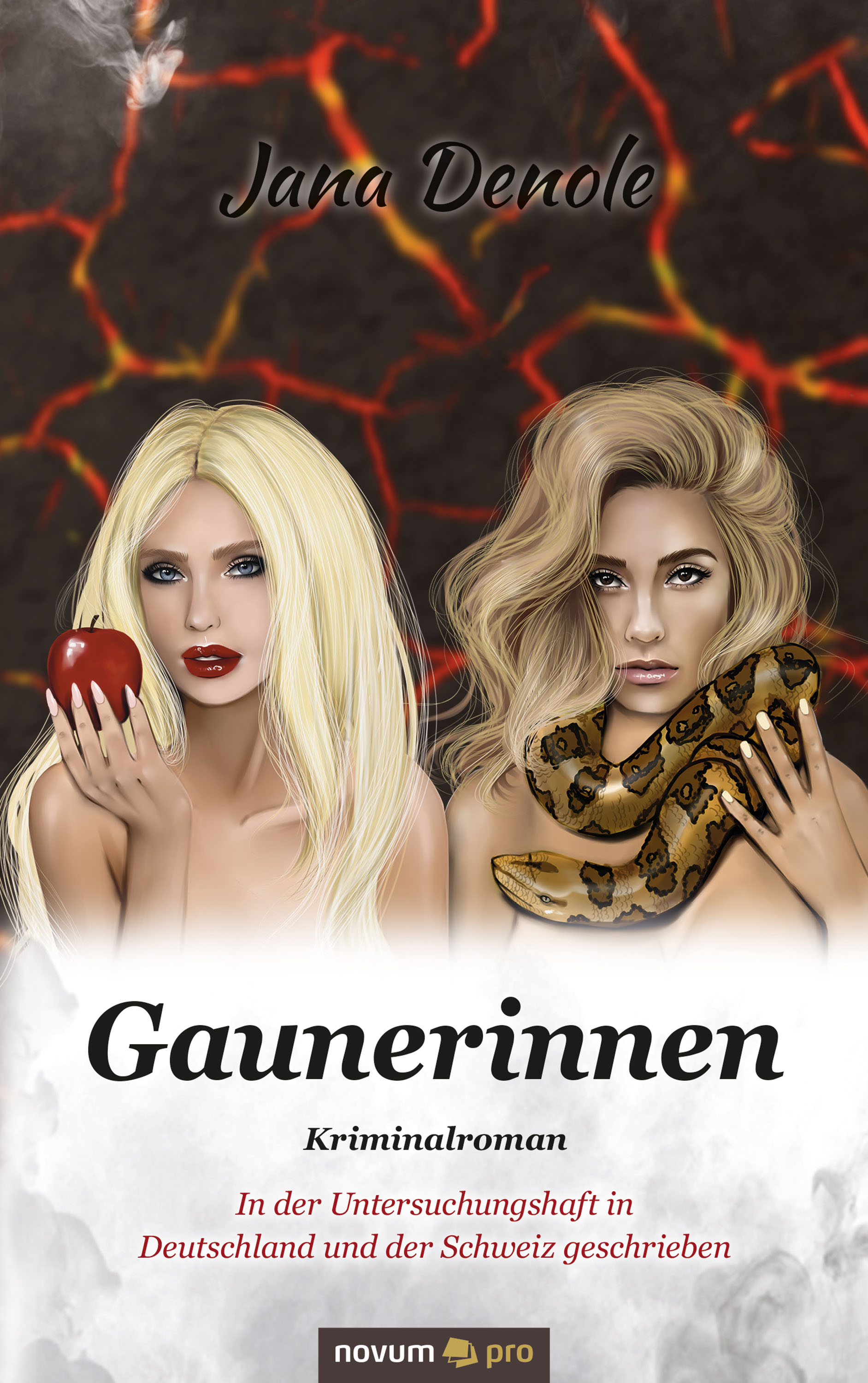 Обложка книги «Gaunerinnen»