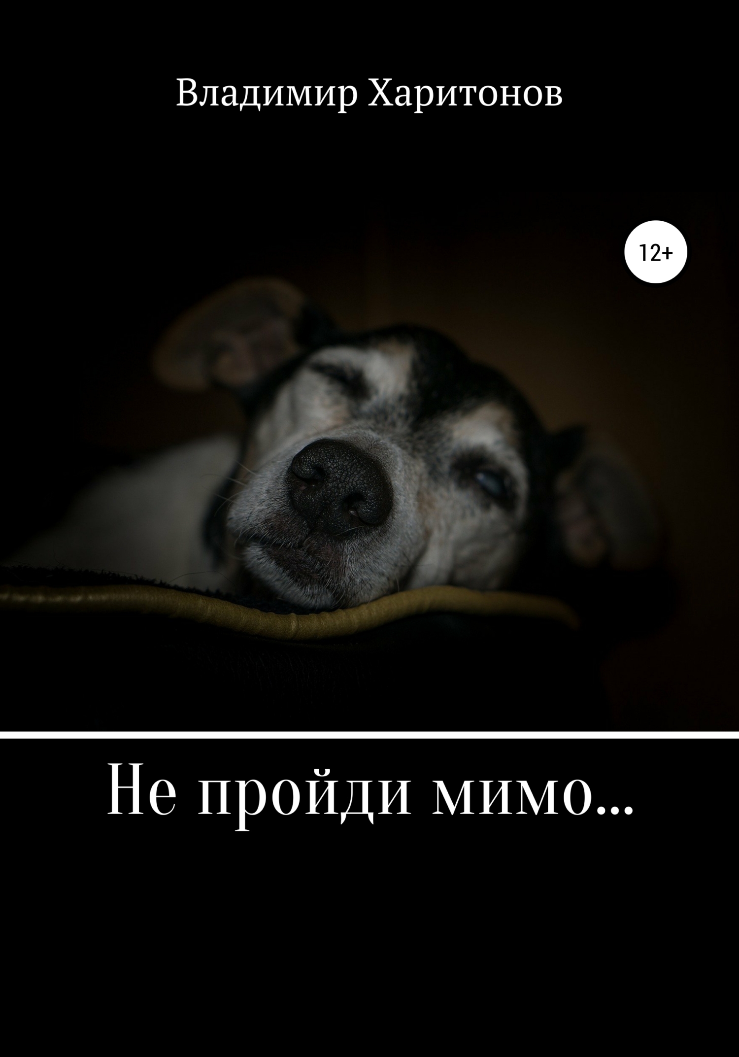 Обложка книги «Не пройди мимо...»