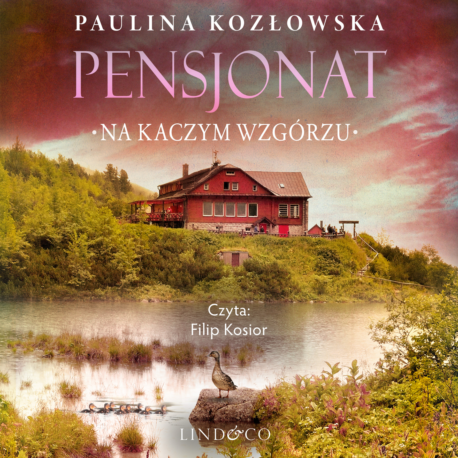 Обложка книги «Pensjonat na kaczym wzgórzu»
