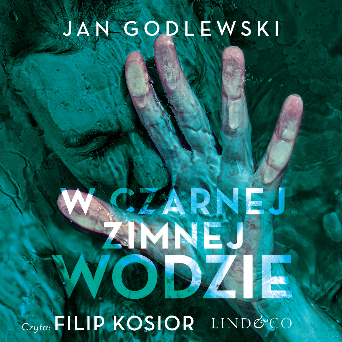 Обложка книги «W czarnej zimnej wodzie»