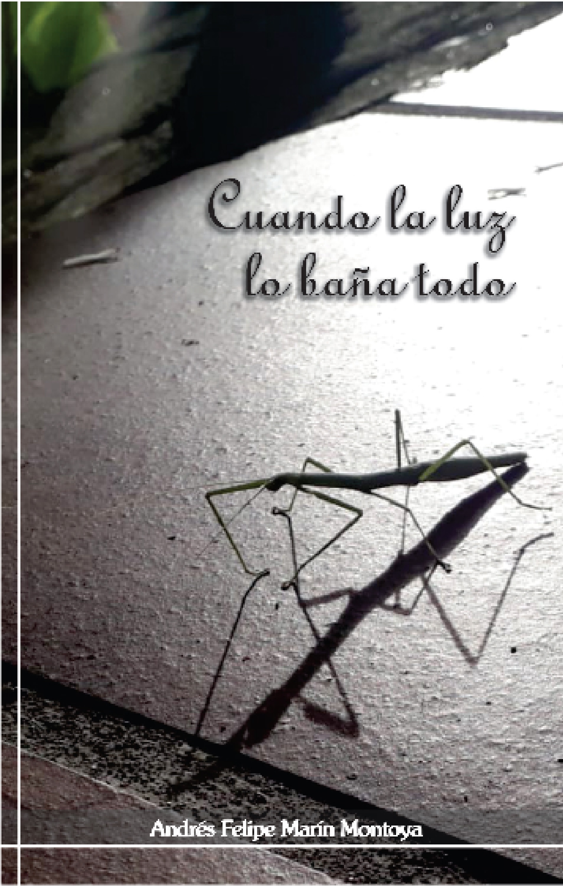 Обложка книги «Cuando la luz lo baña todo»