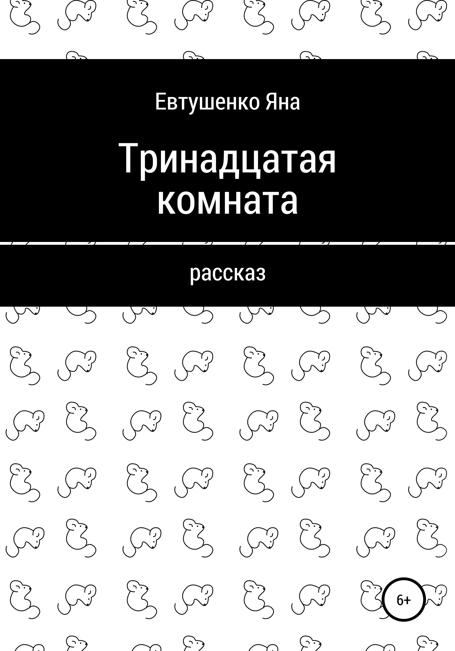 Обложка книги «Тринадцатая комната»