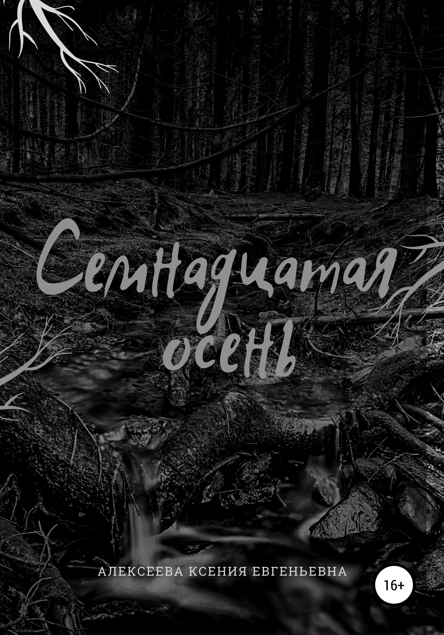 Обложка книги «Семнадцатая осень»