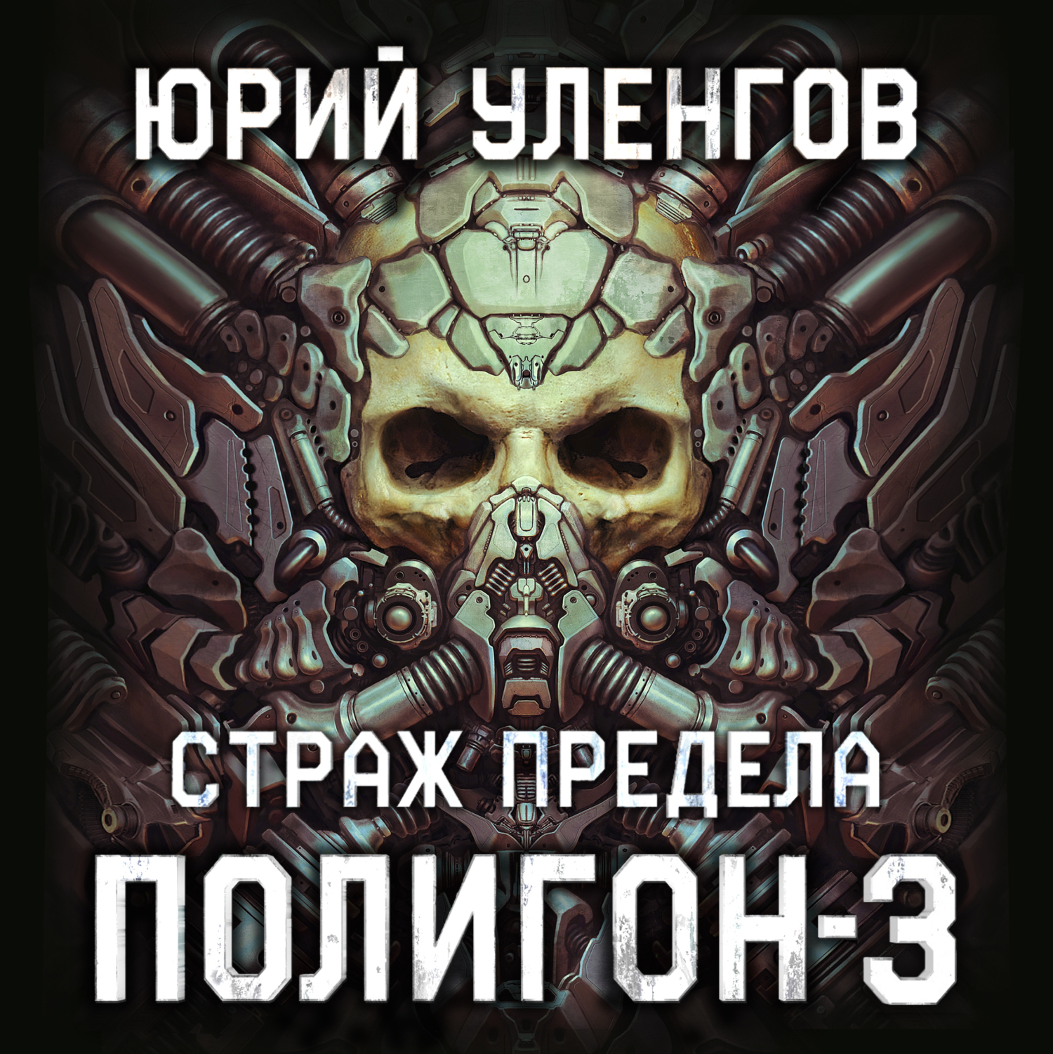 Обложка книги «Полигон-3. Страж Предела»