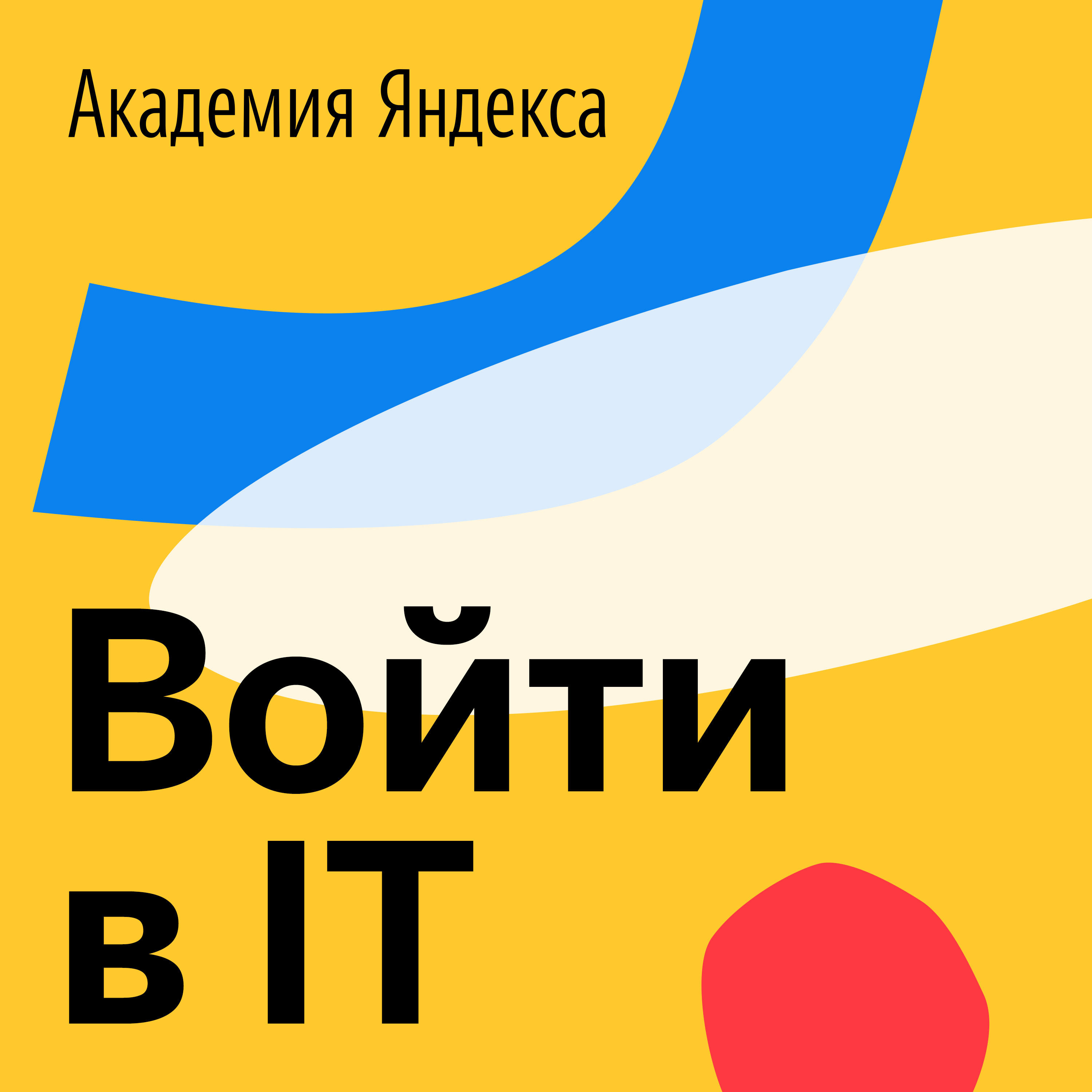 Обложка книги «Войти в IT»