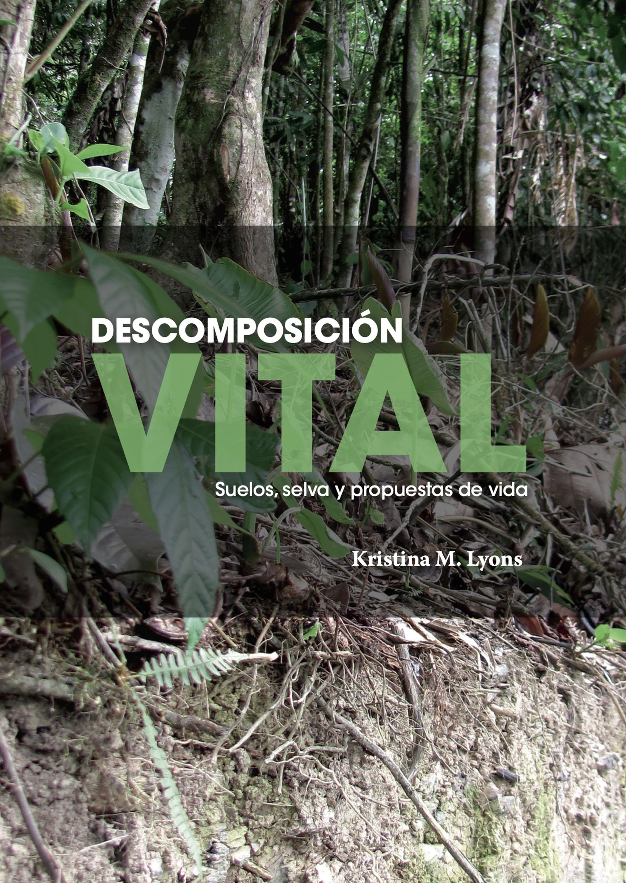 Обложка книги «Descomposición vital»