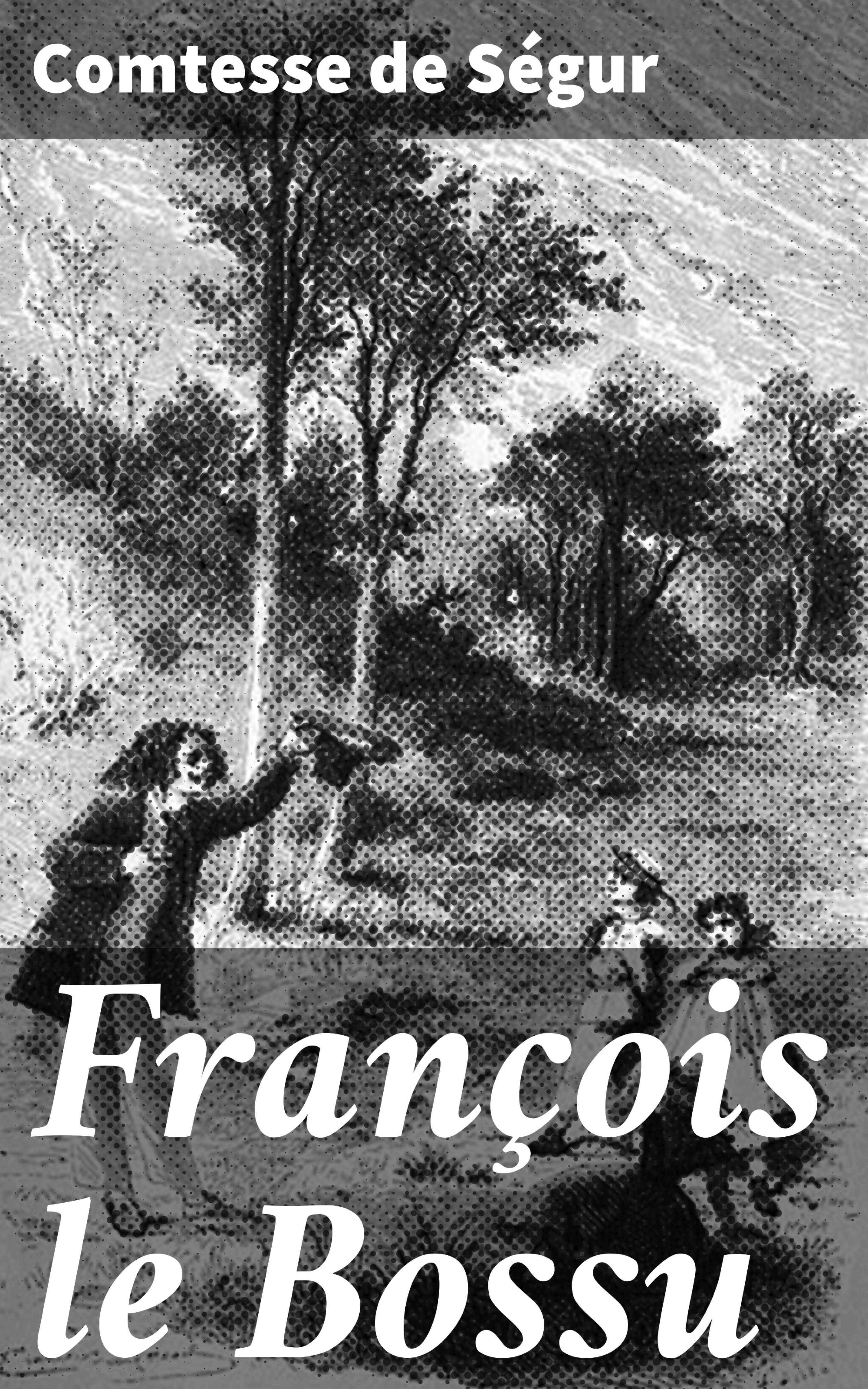 Обложка книги «François le Bossu»