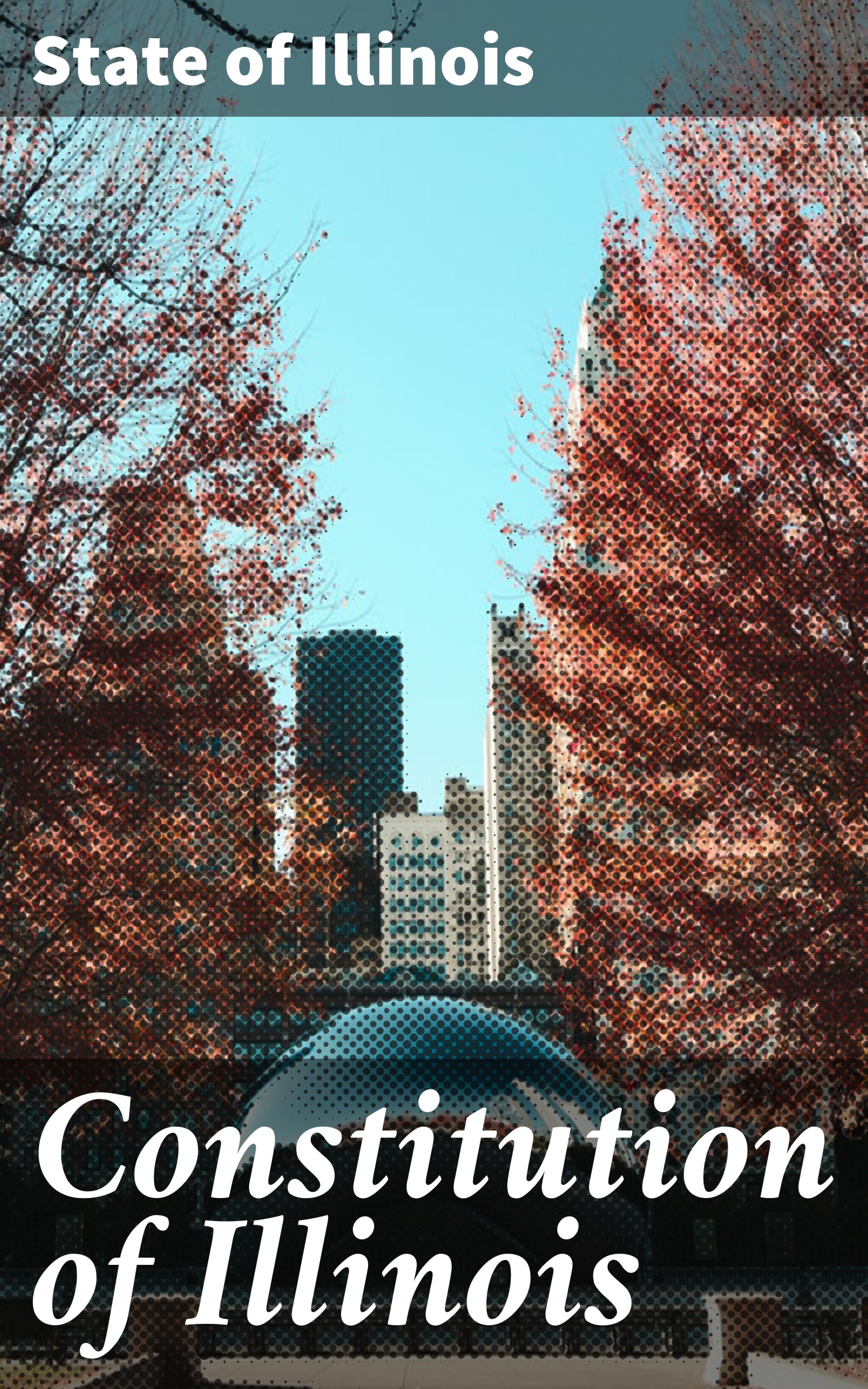 Обложка книги «Constitution of Illinois»